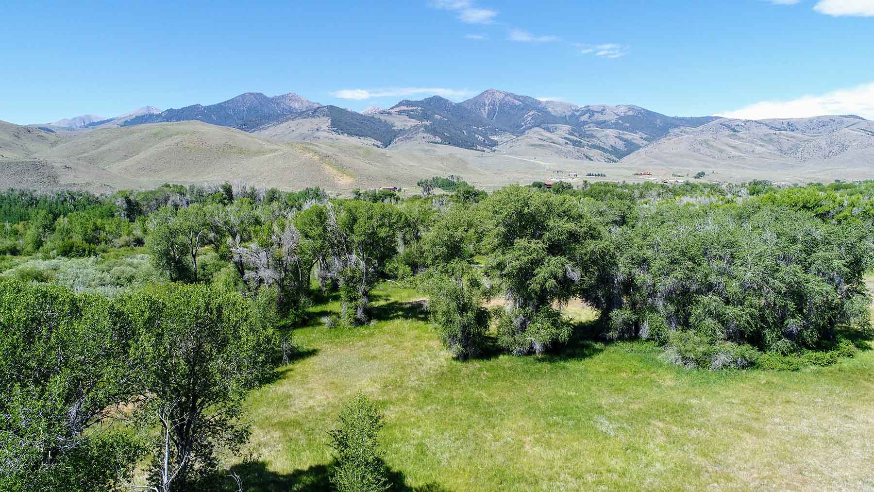 Big Lost River Sanctuary property picture 26 of 60