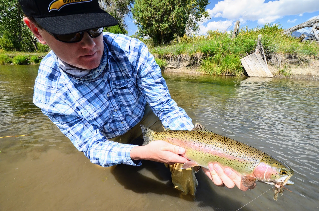 Big Lost River Sanctuary property picture 7 of 60