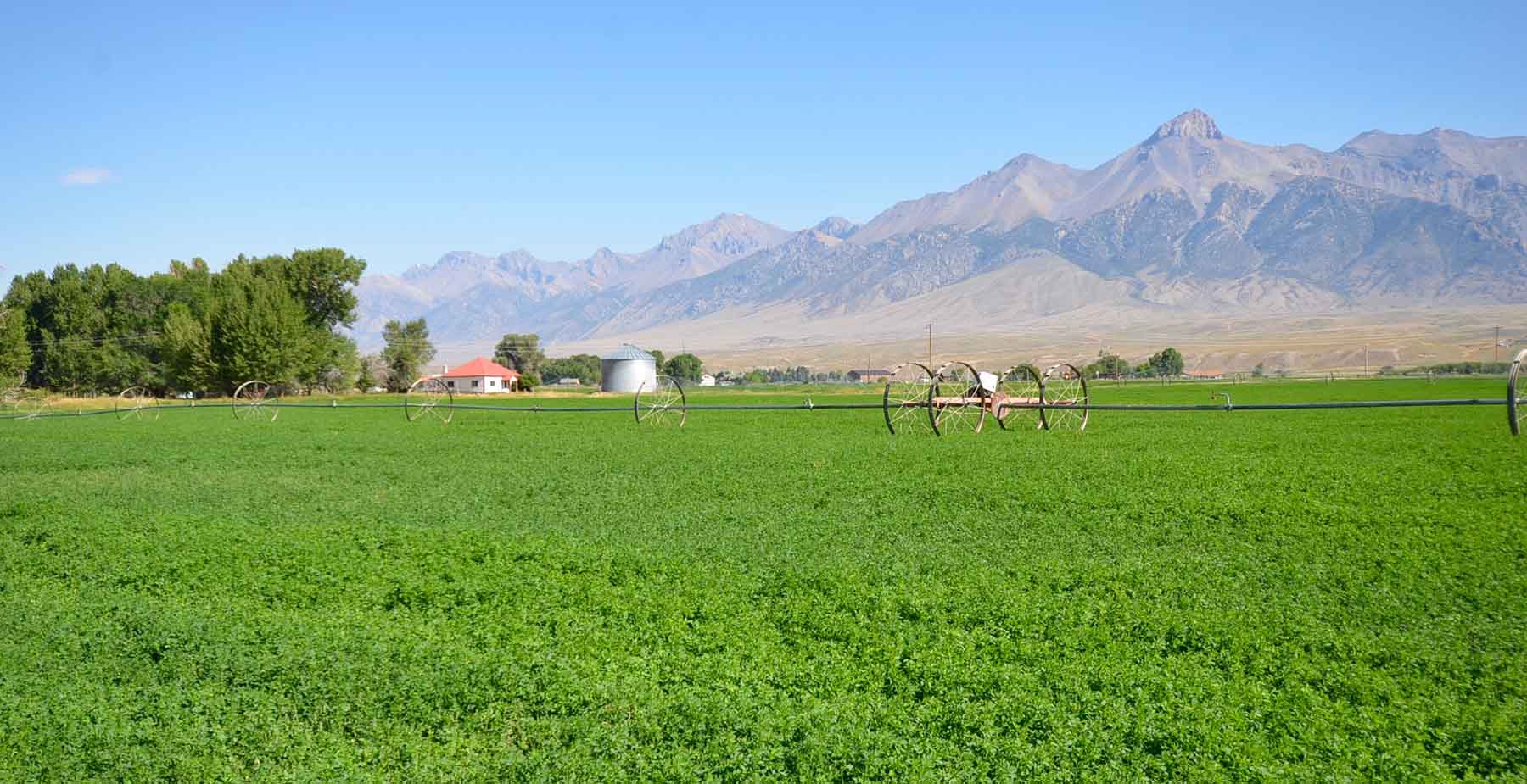 Big Lost River Sanctuary property picture 15 of 60