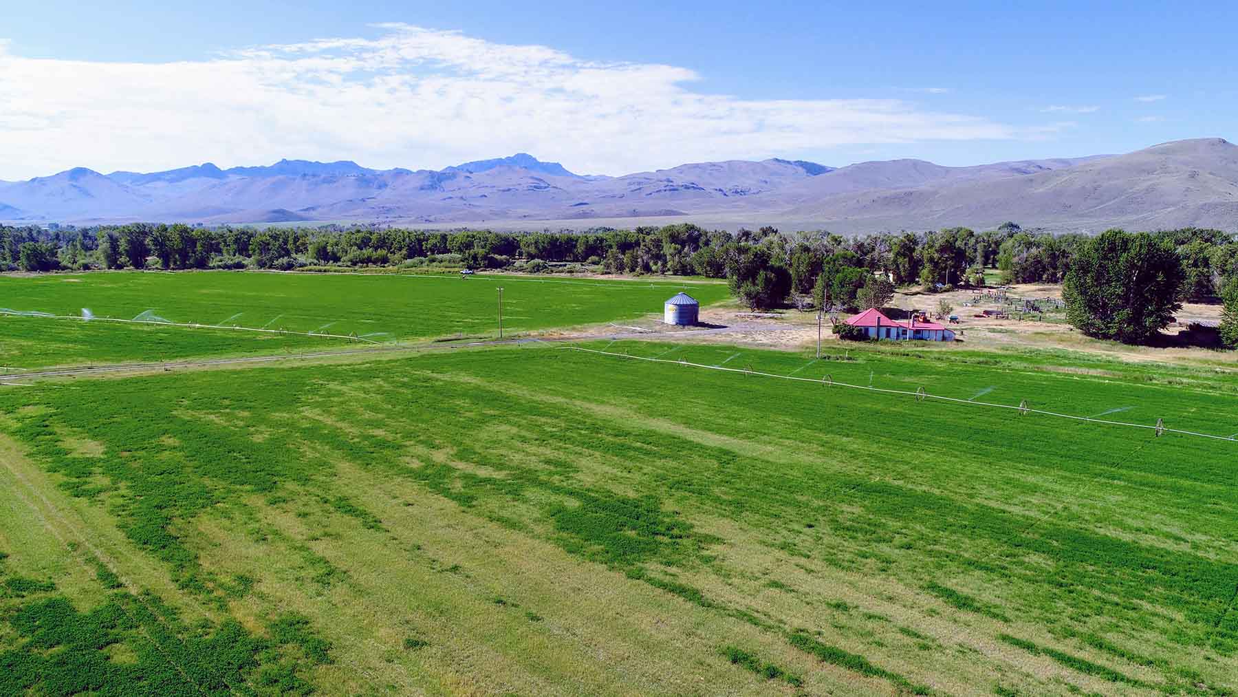 Big Lost River Sanctuary property picture 18 of 60