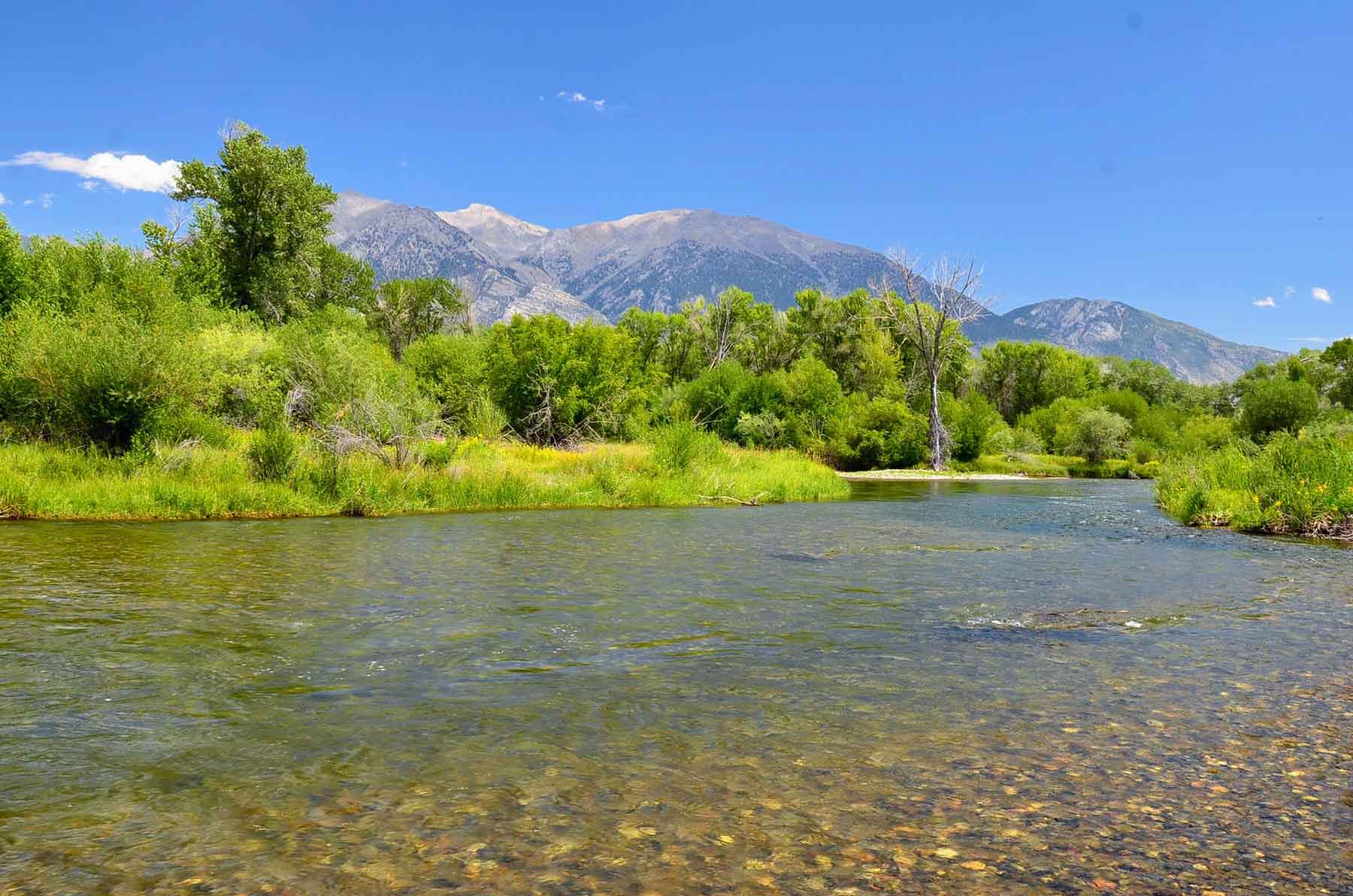 Big Lost River Sanctuary Sold Idaho Hall and Hall