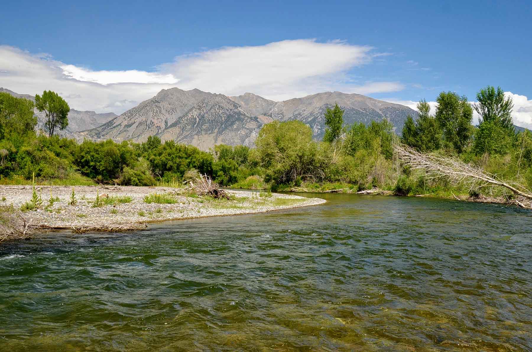 Big Lost River Sanctuary Sold Idaho Hall and Hall