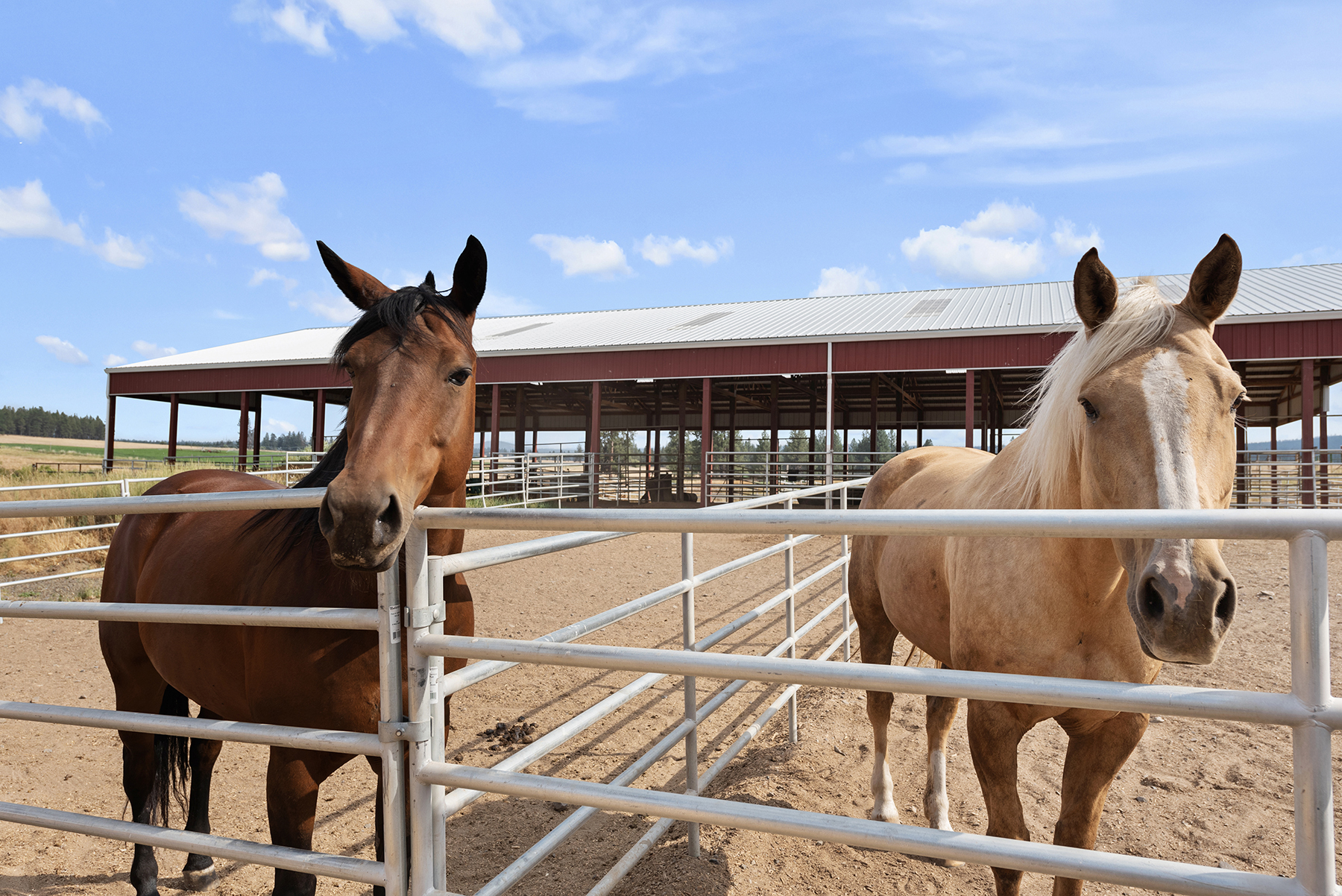 Ronde River Ranch property picture 76 of 116