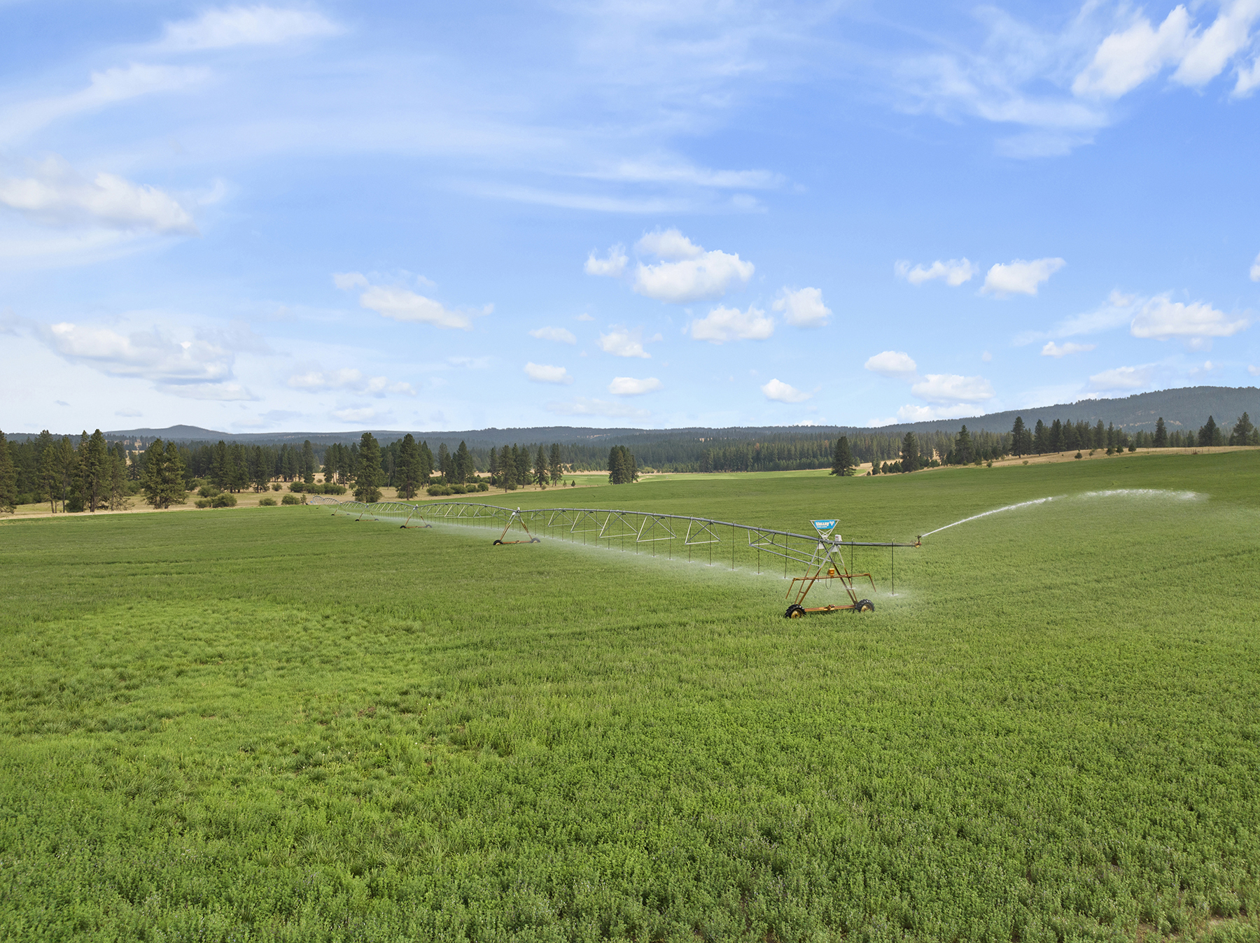 Ronde River Ranch property picture 88 of 116