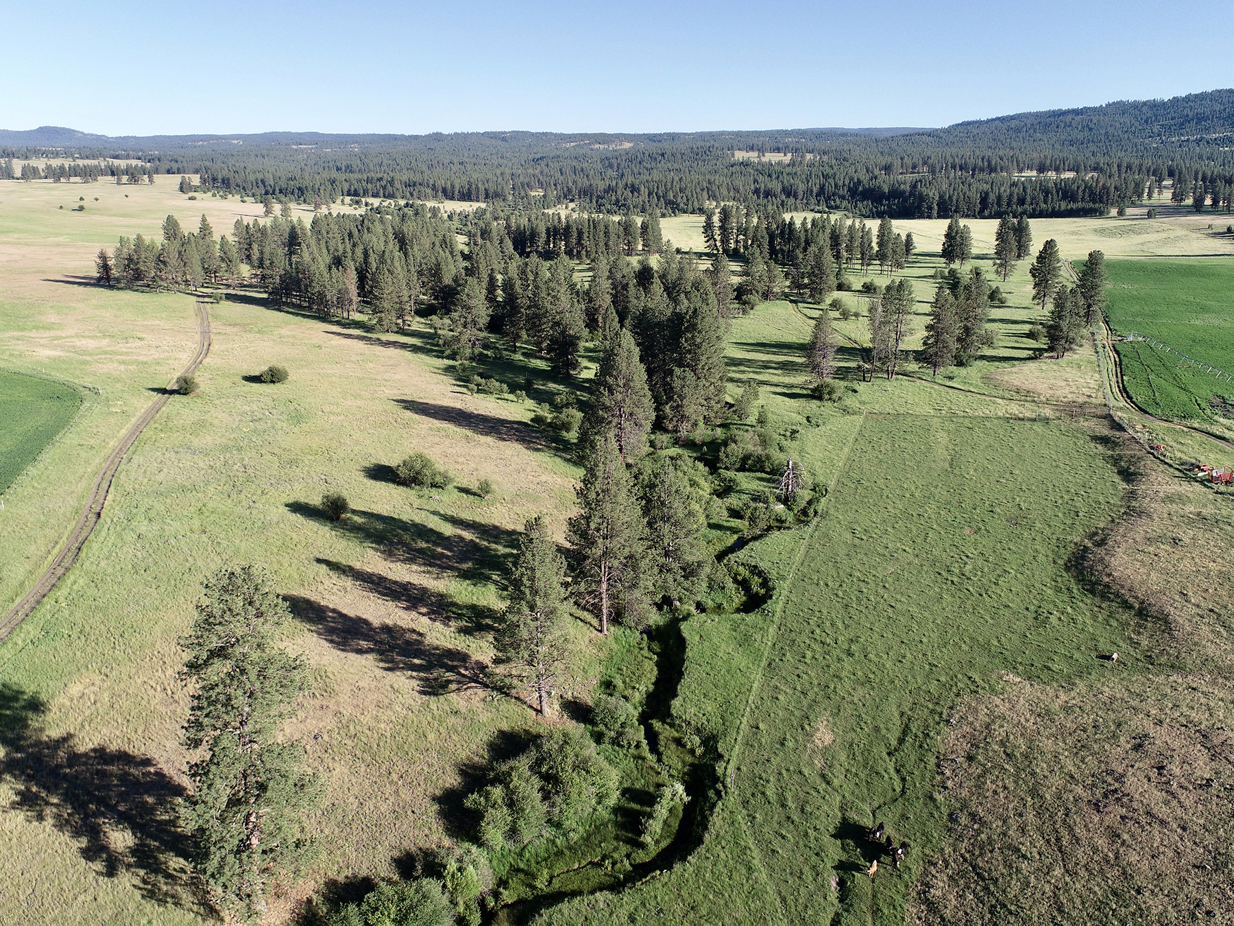 Ronde River Ranch property picture 91 of 116