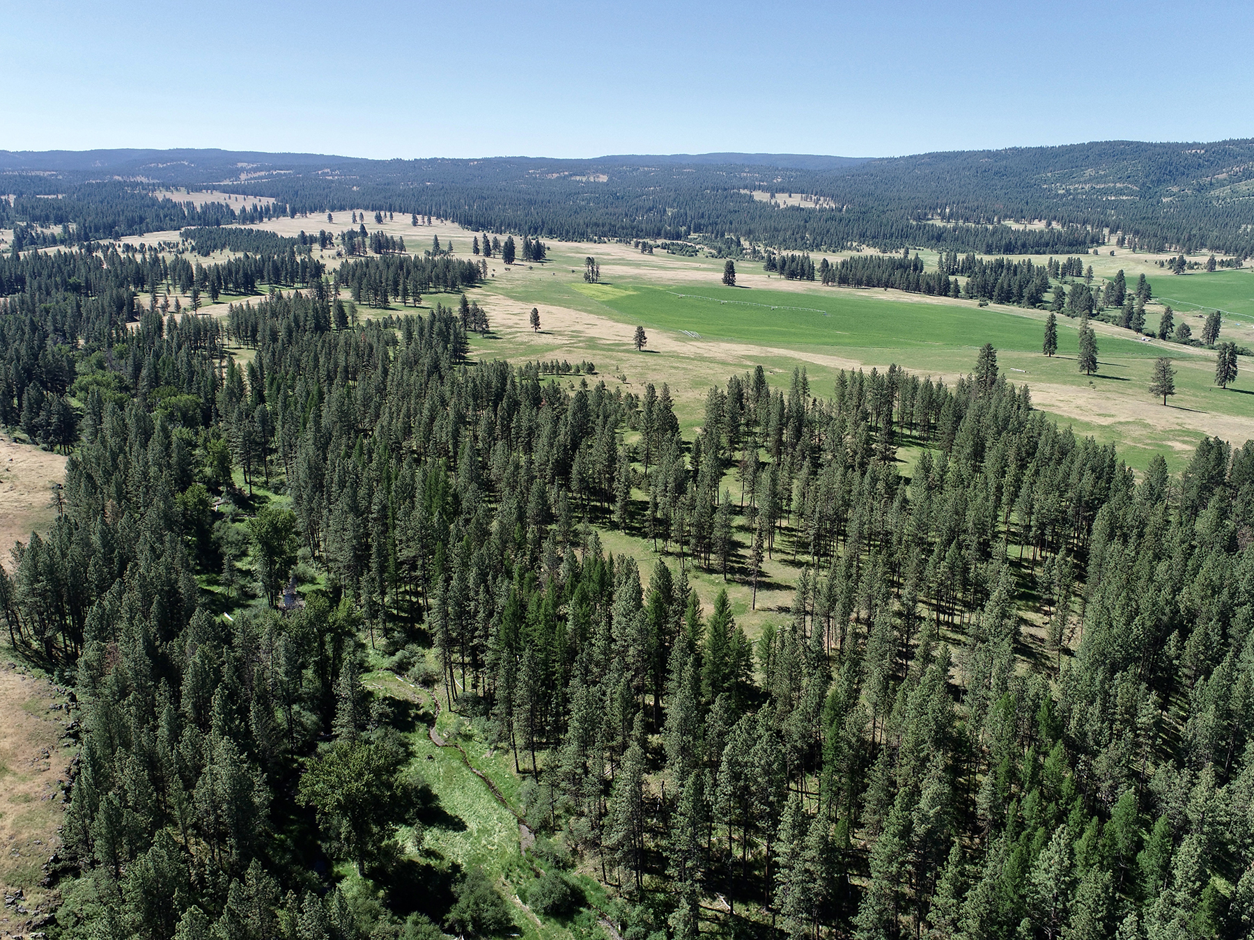 Ronde River Ranch property picture 4 of 116