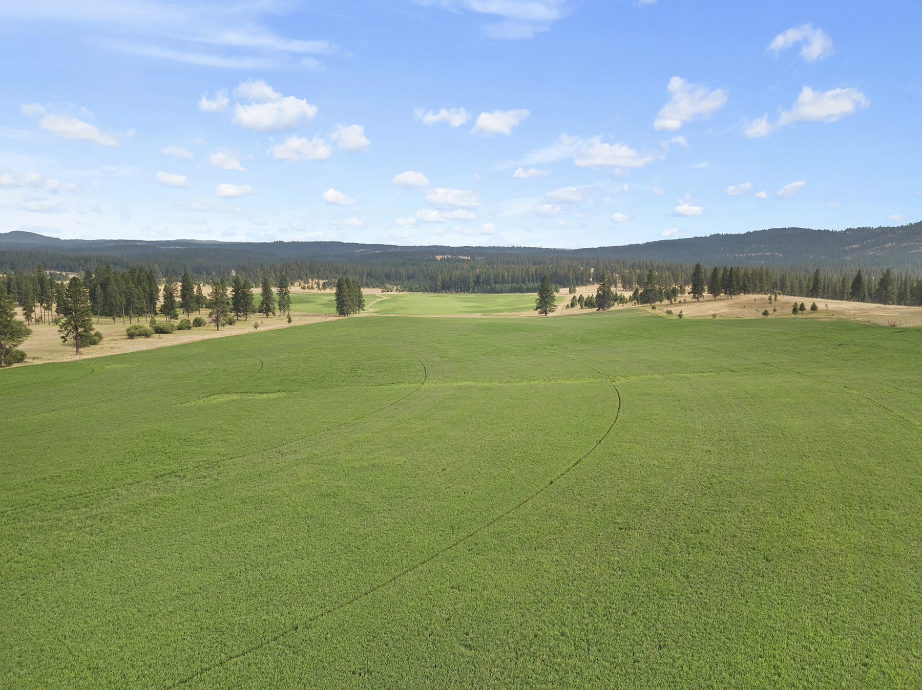 Ronde River Ranch property picture 90 of 116