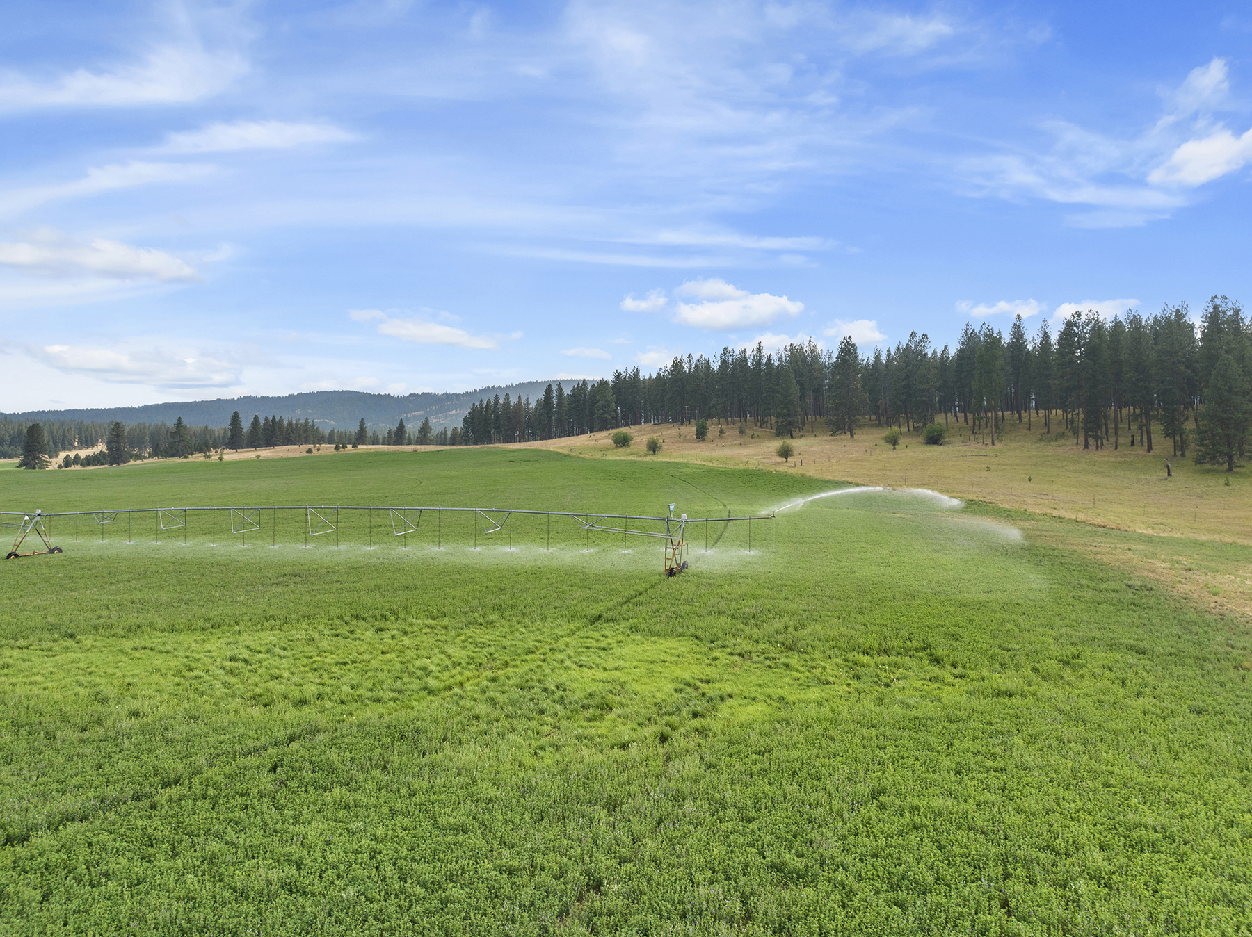 Ronde River Ranch property picture 94 of 116