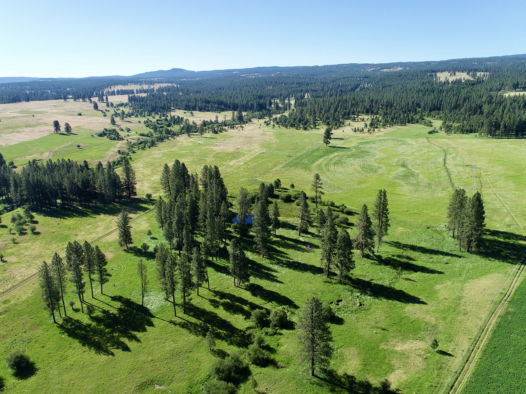 Ronde River Ranch property picture 95 of 116