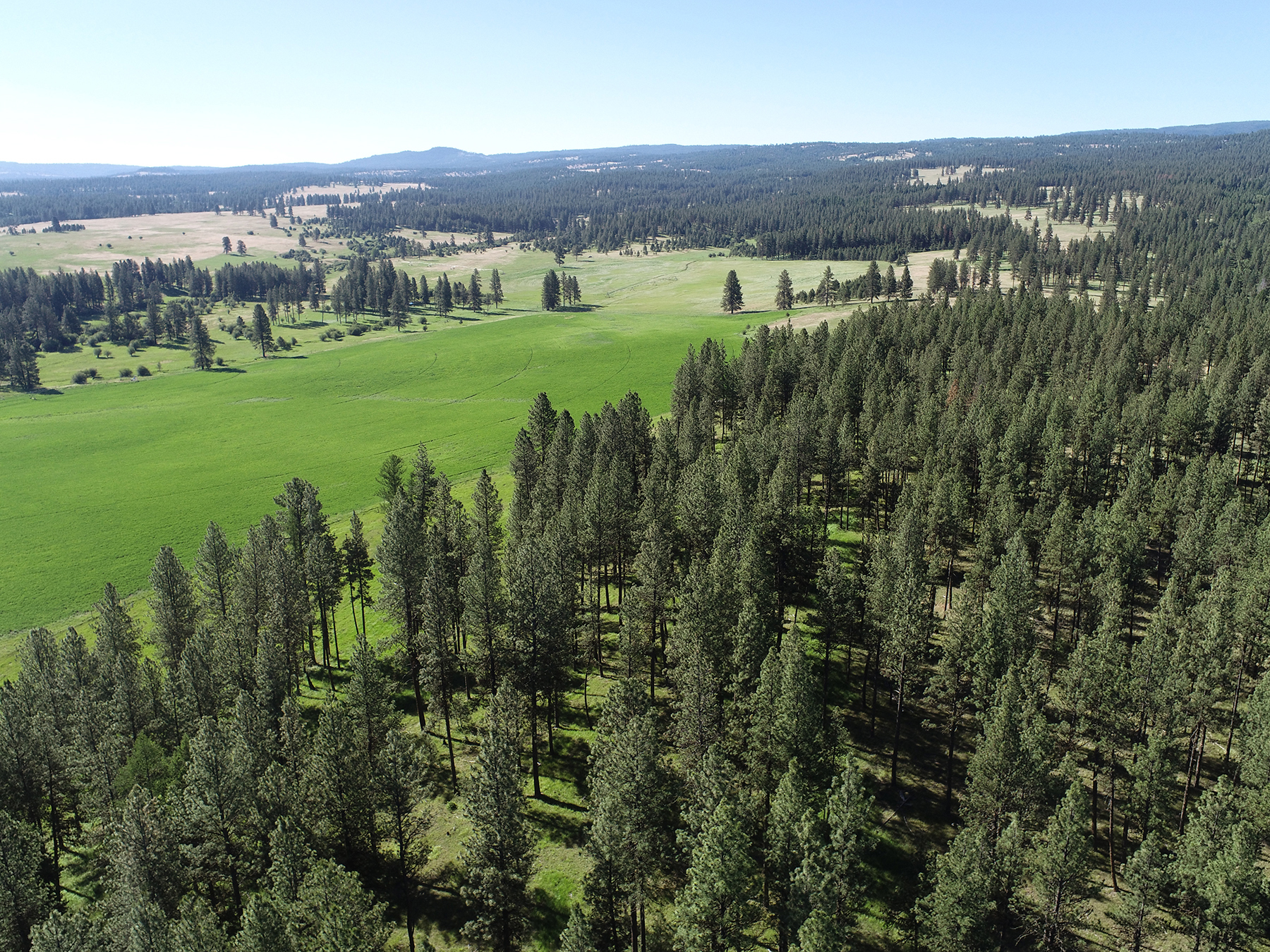 Ronde River Ranch property picture 86 of 116