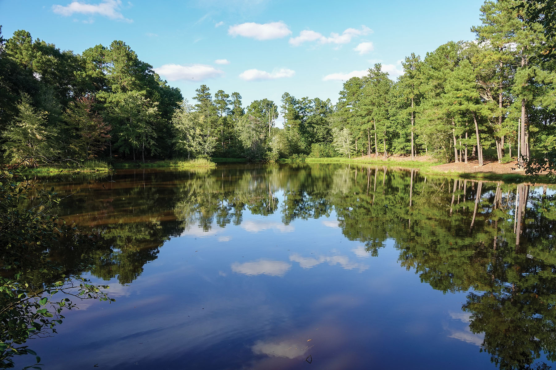 Elgin Plantation Hall and Hall