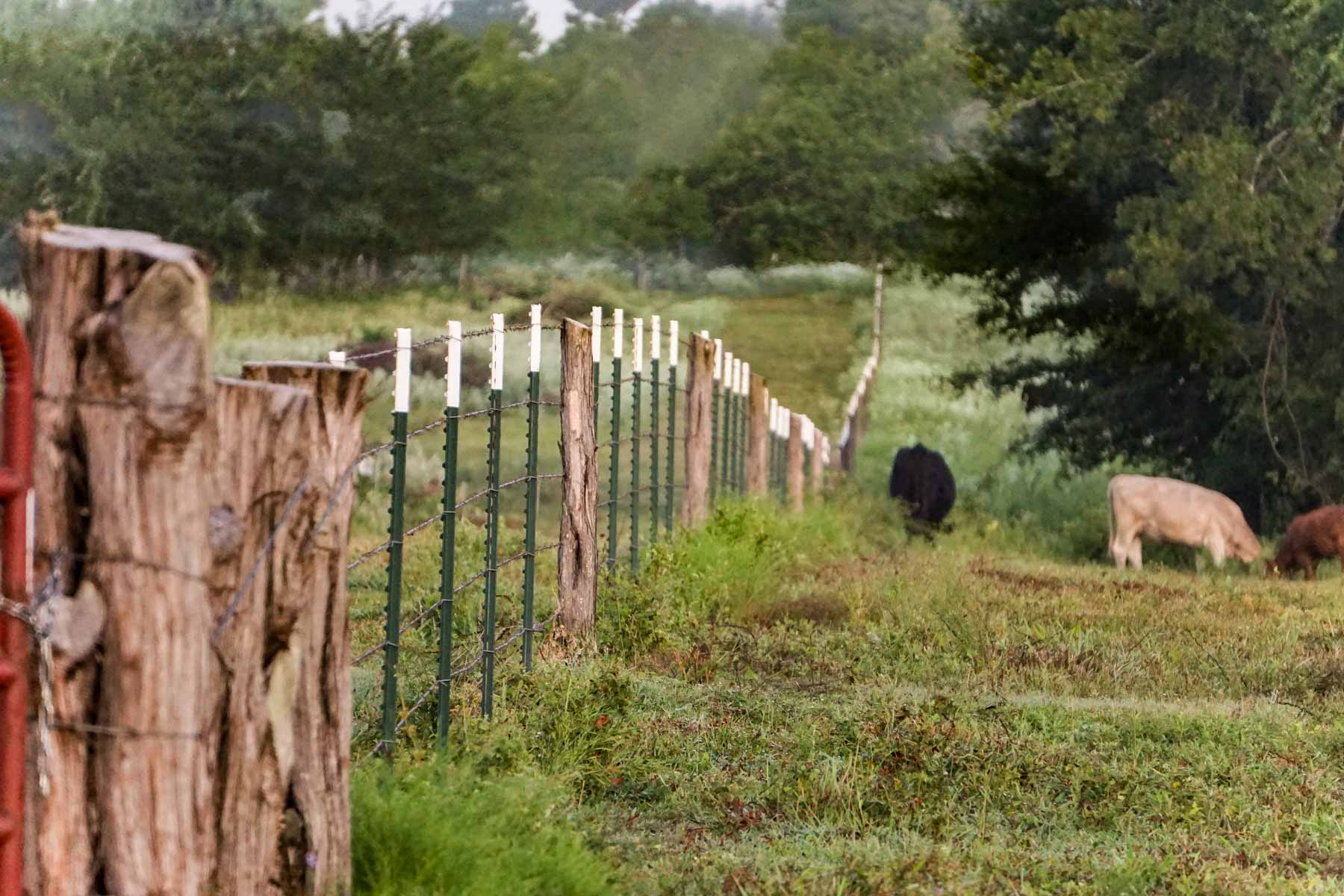 Apache Creek Ranch property picture 5 of 23