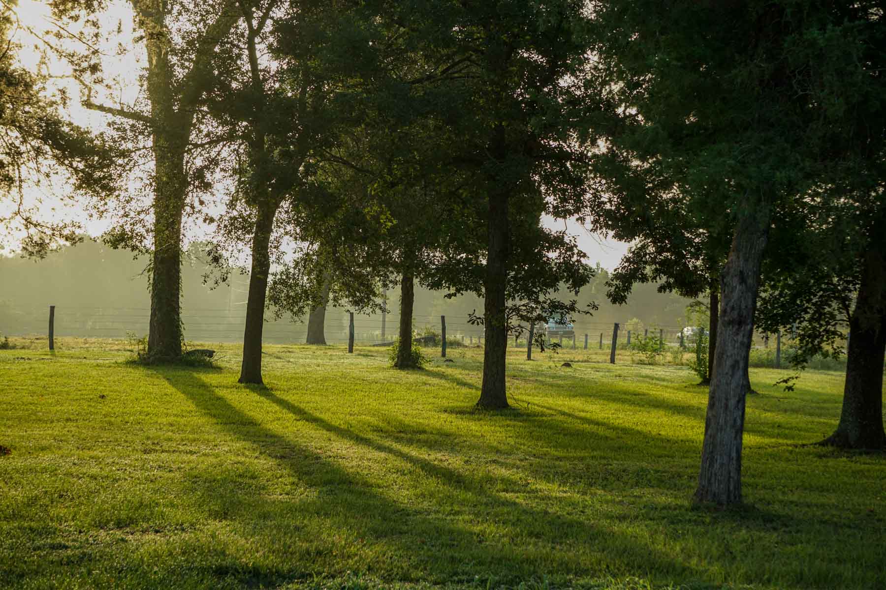 Apache Creek Ranch property picture 13 of 23