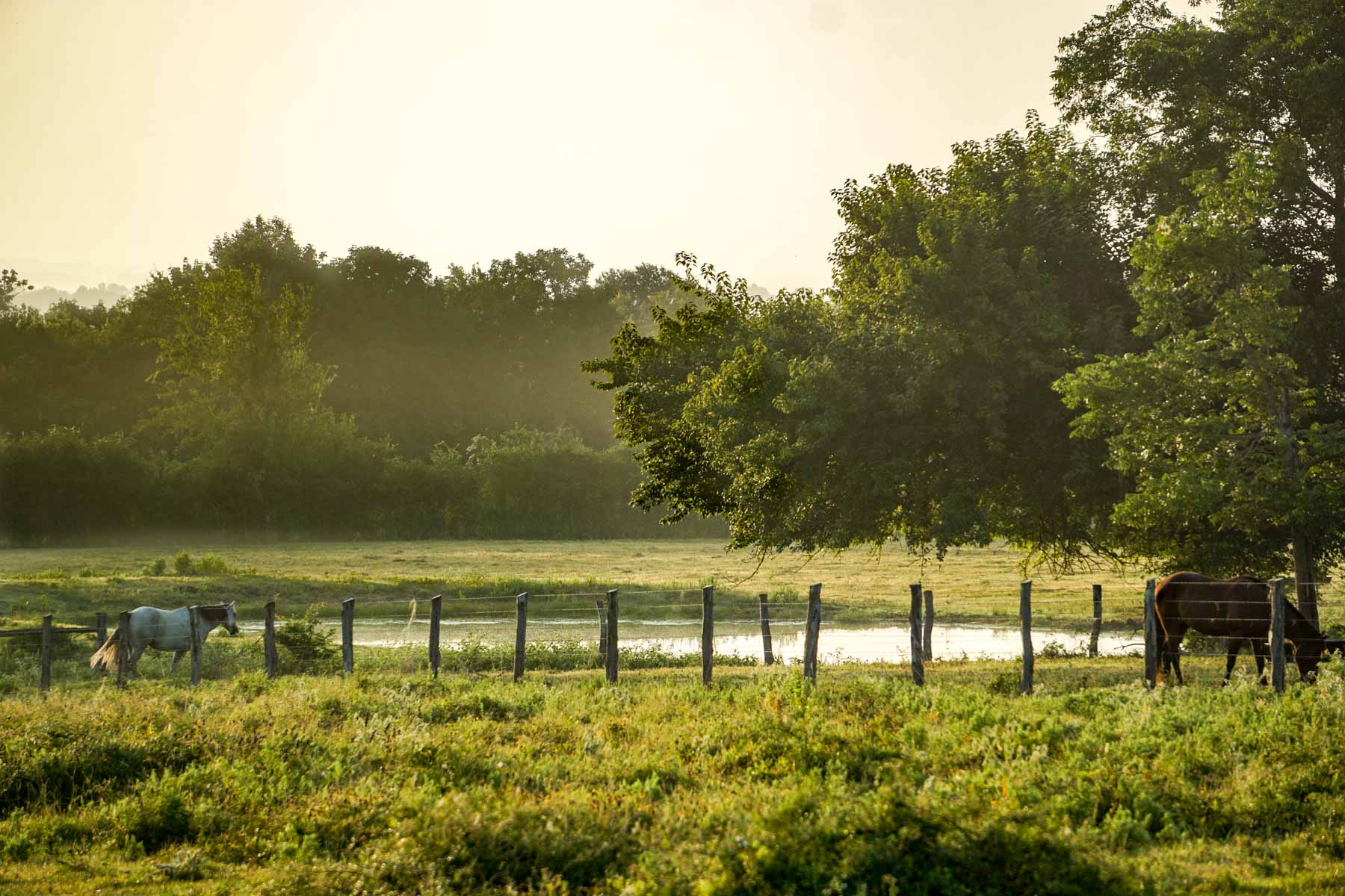 Apache Creek Ranch property picture 23 of 23