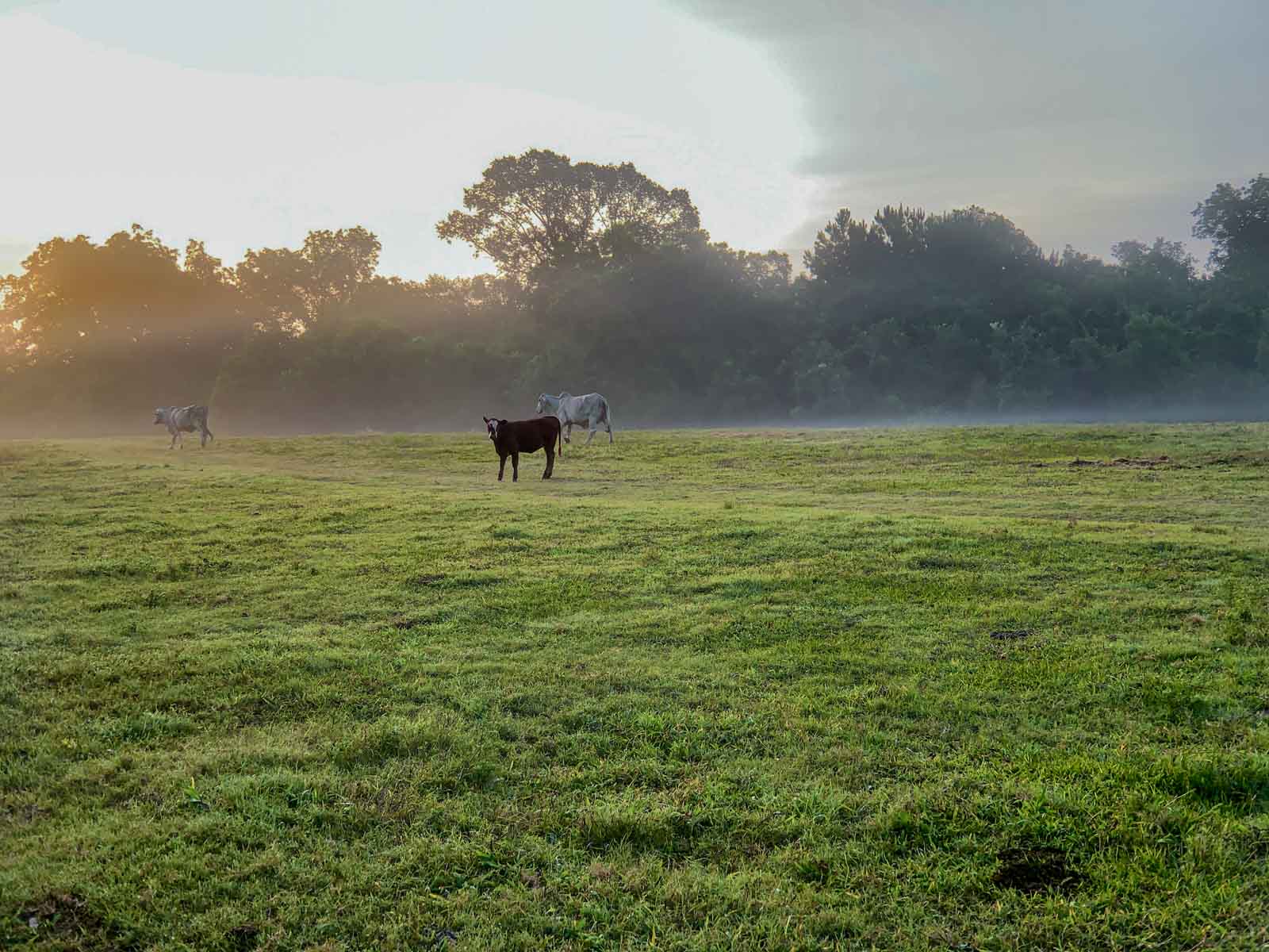 Apache Creek Ranch property picture 22 of 23