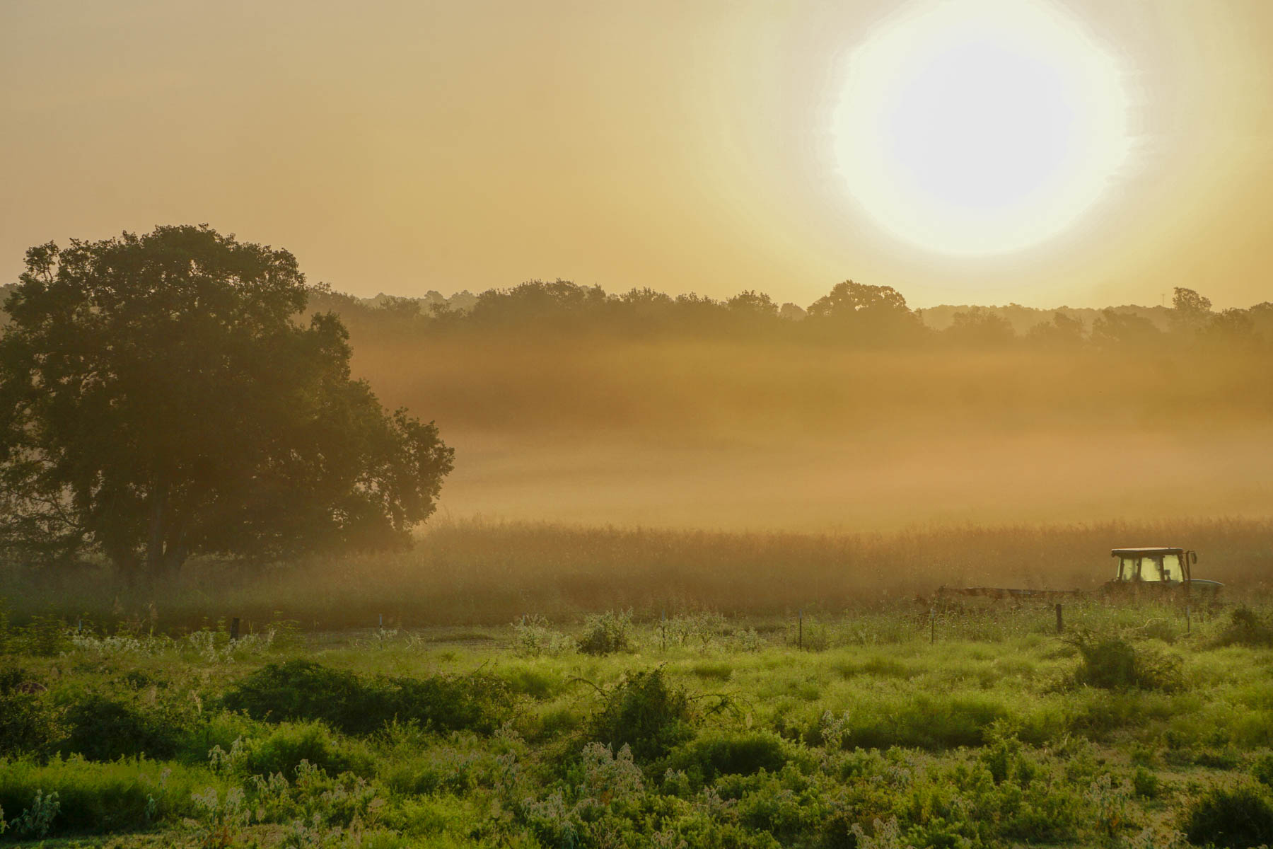 Apache Creek Ranch property picture 2 of 23