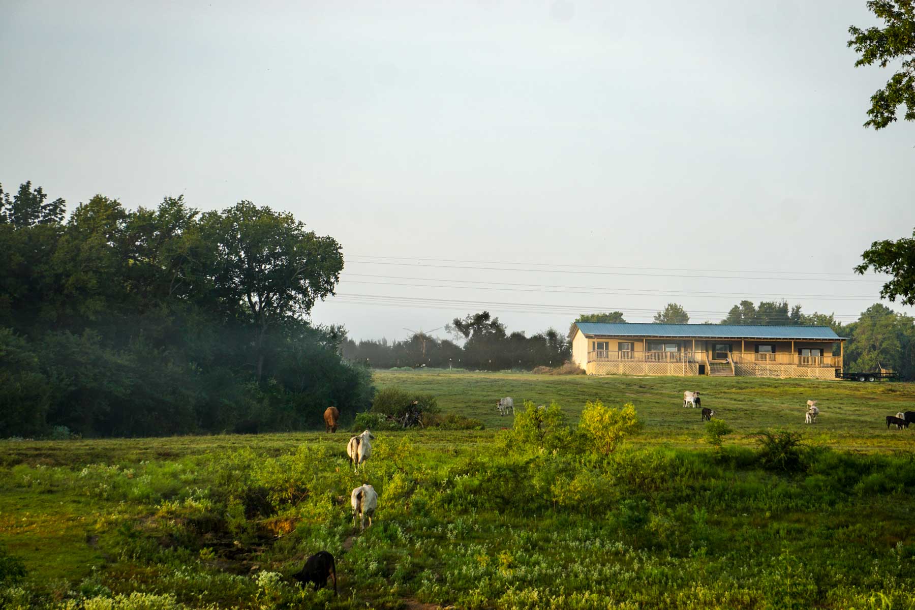 Apache Creek Ranch property picture 10 of 23