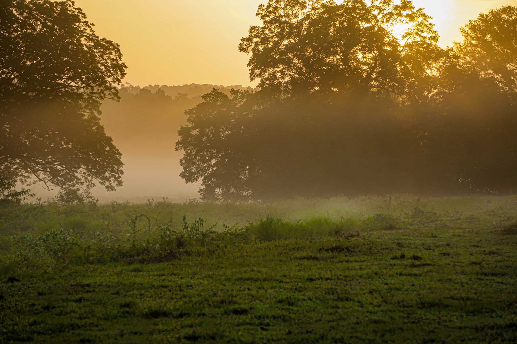 Apache Creek Ranch property picture 6 of 23
