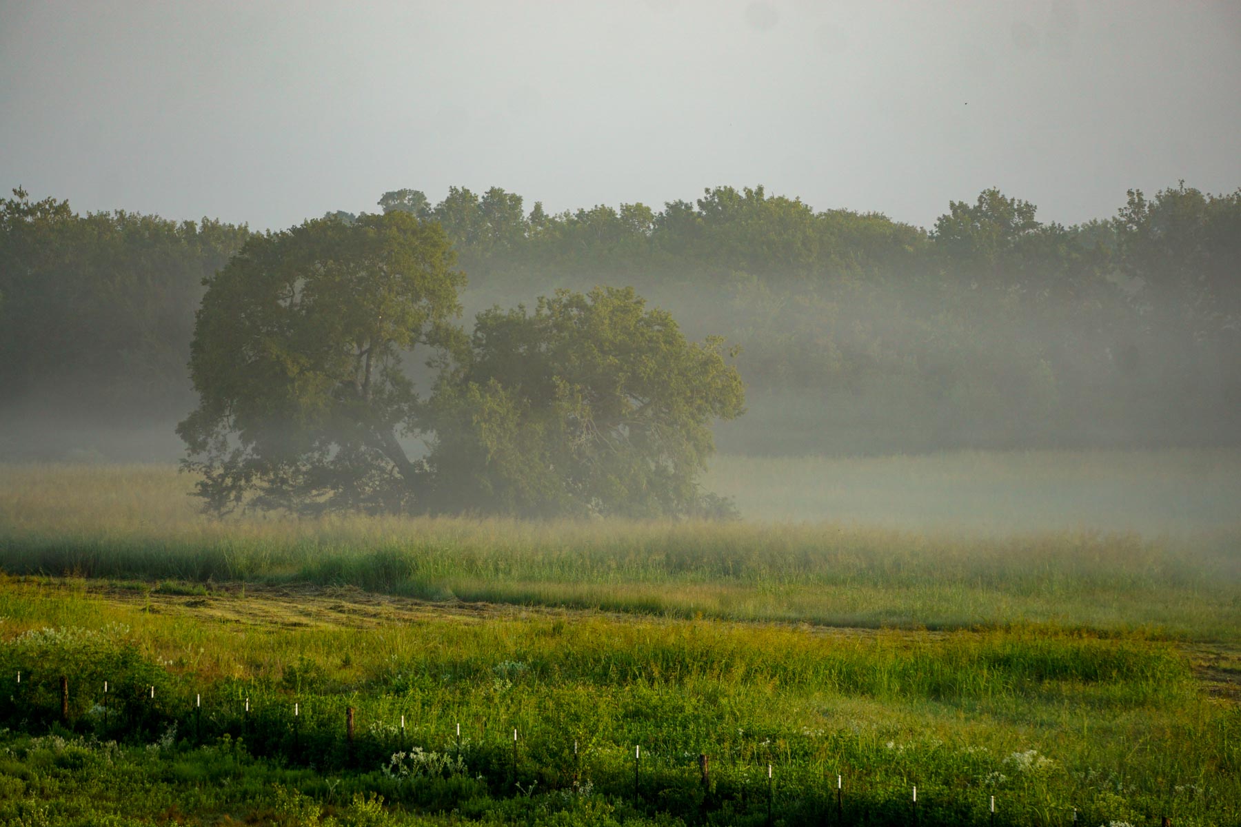 Apache Creek Ranch property picture 20 of 23