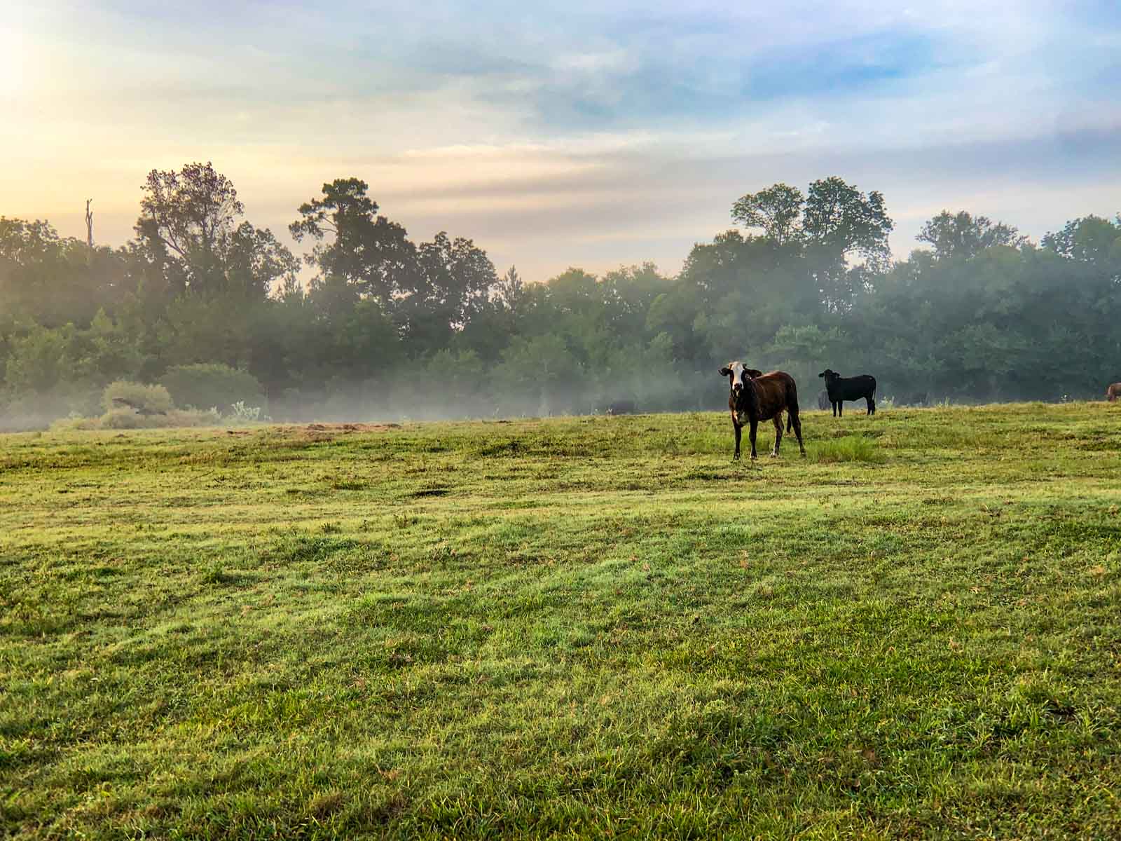 Apache Creek Ranch property picture 8 of 23