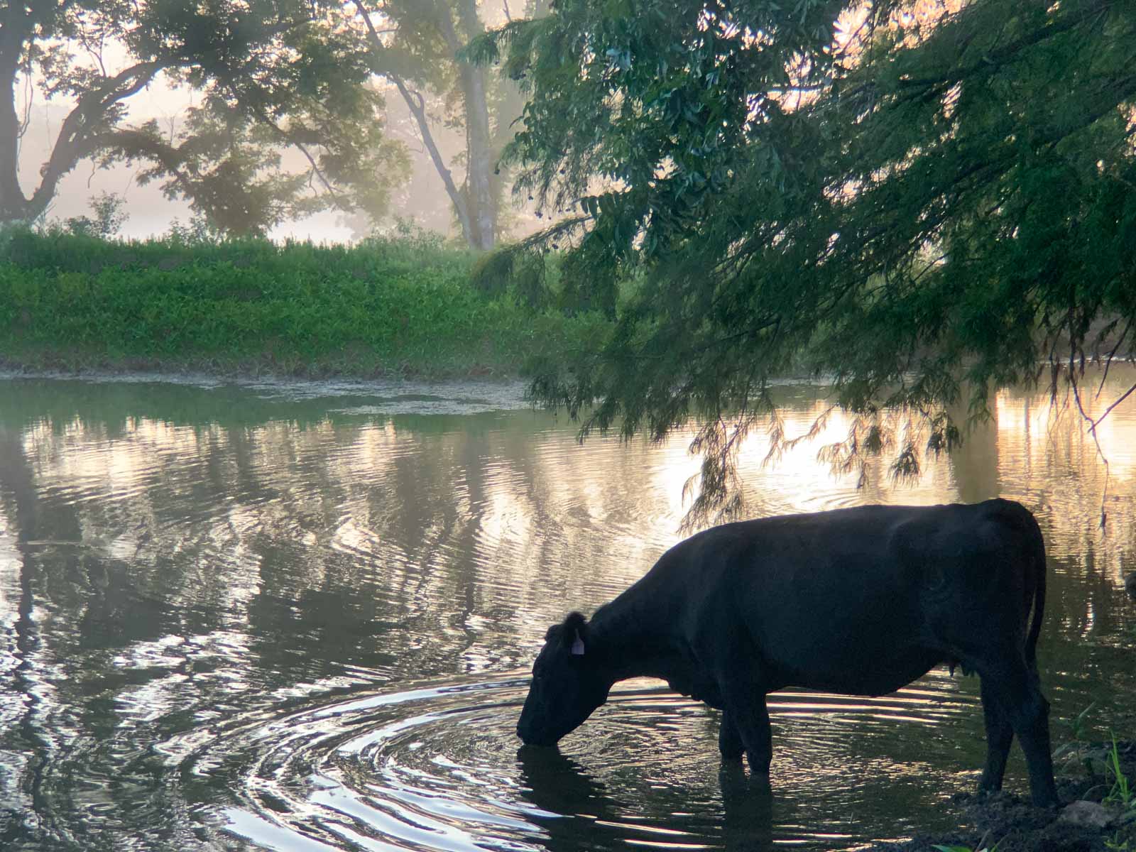 Apache Creek Ranch property picture 7 of 23