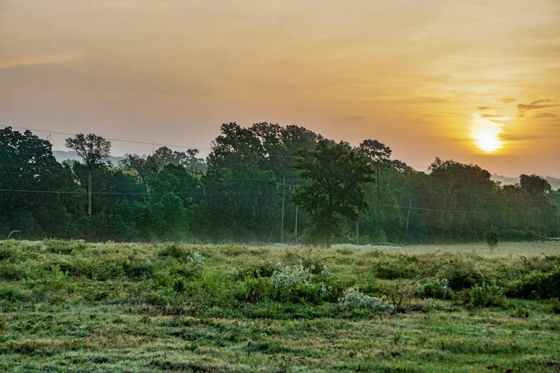 Apache Creek Ranch property picture 4 of 23