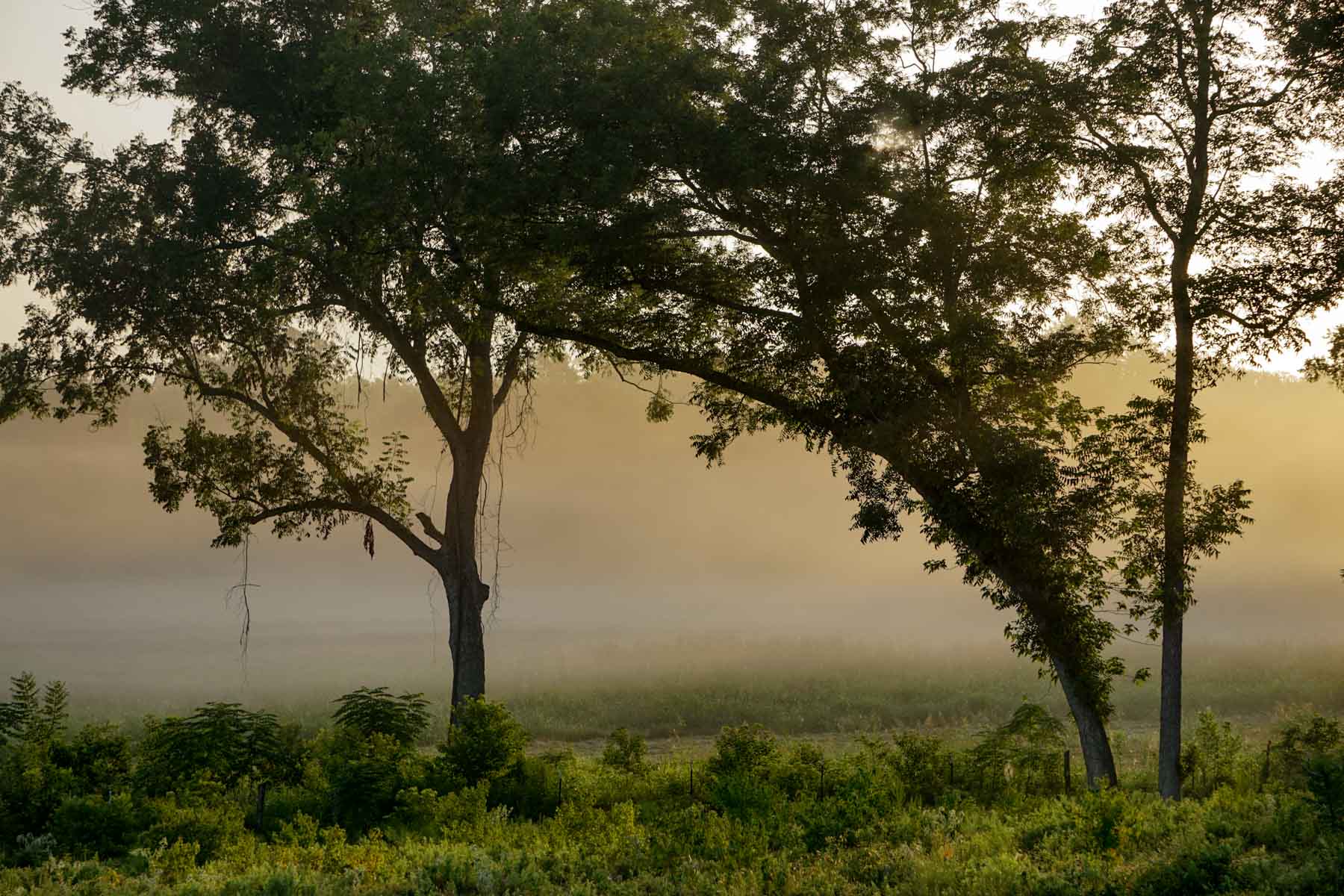 Apache Creek Ranch property picture 11 of 23