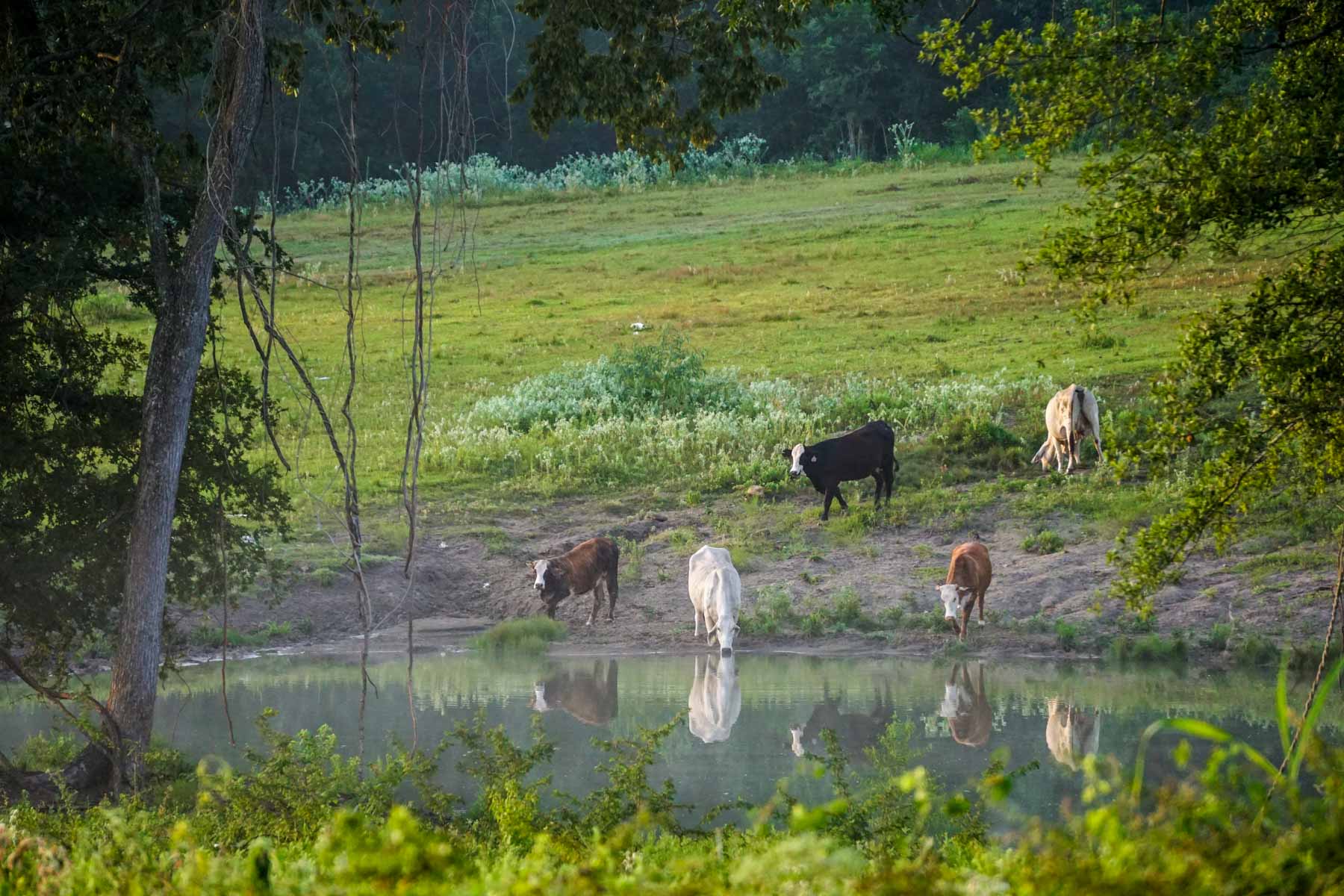 Apache Creek Ranch property picture 3 of 23