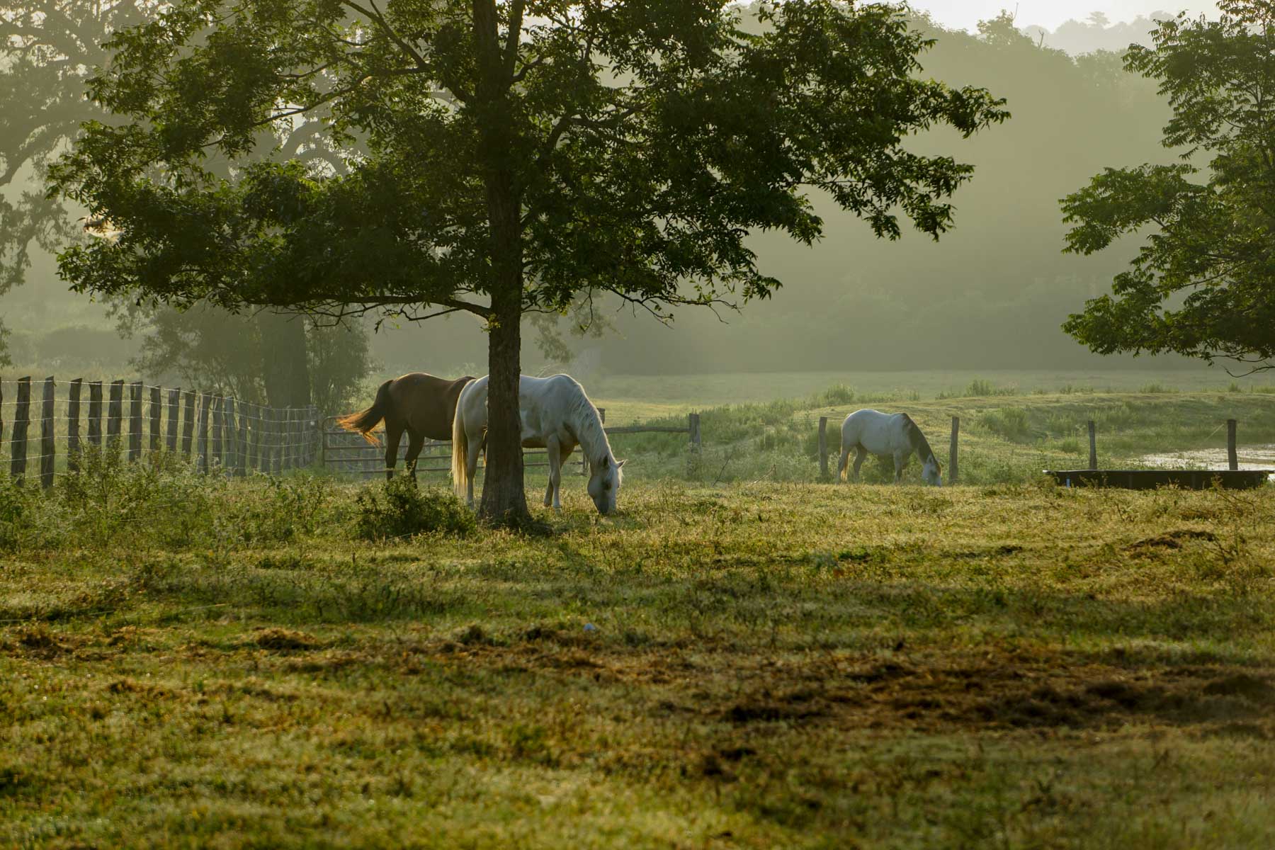 Apache Creek Ranch property picture 16 of 23