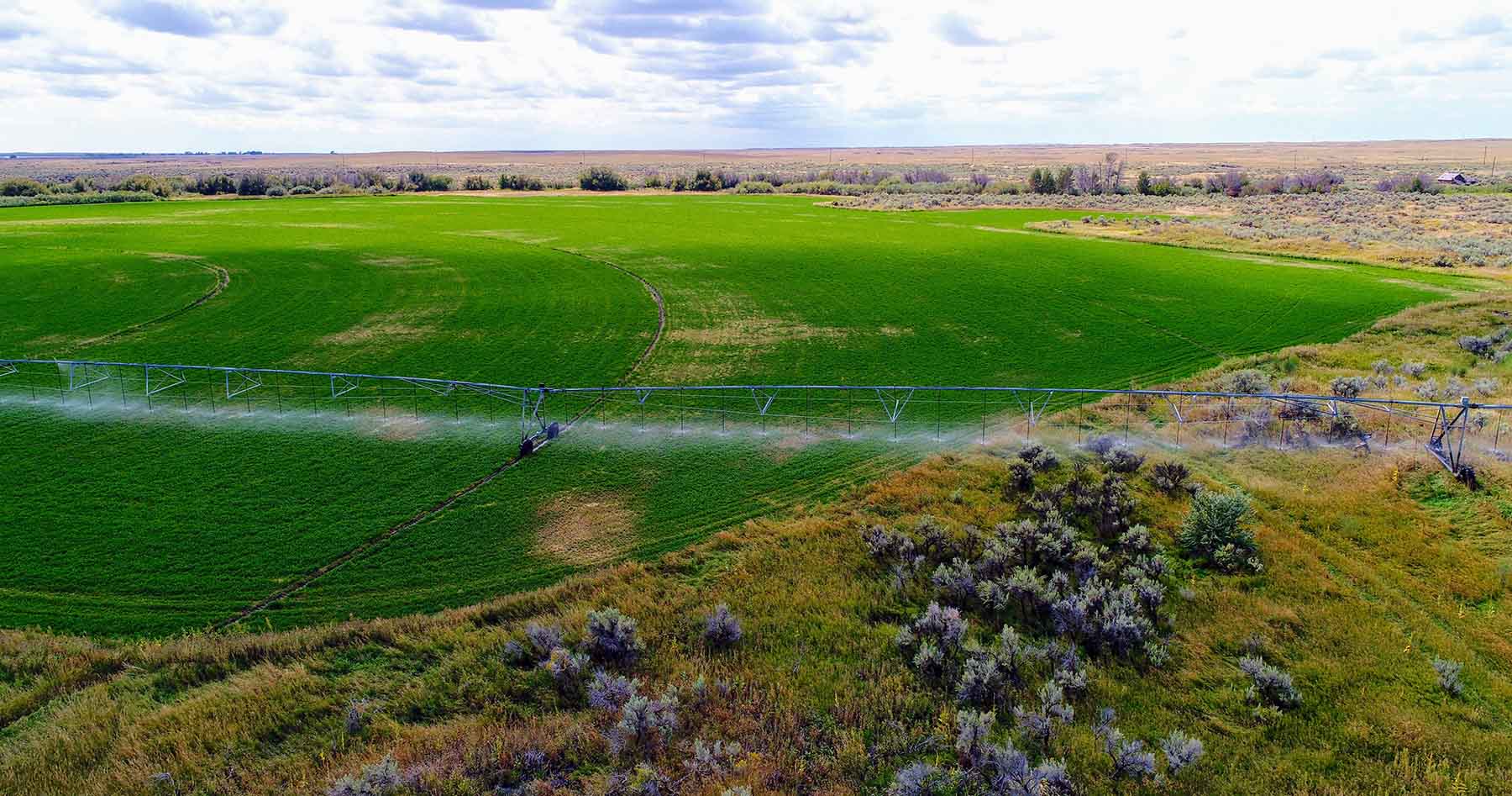 Renegade Ranch property picture 69 of 102