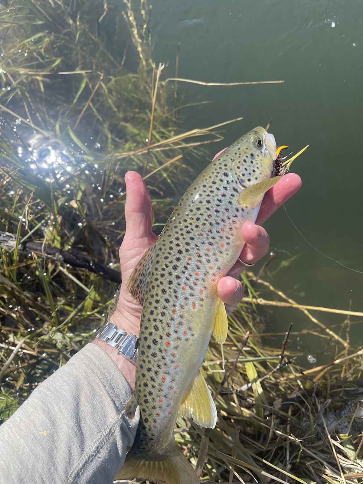 Renegade Ranch property picture 90 of 102