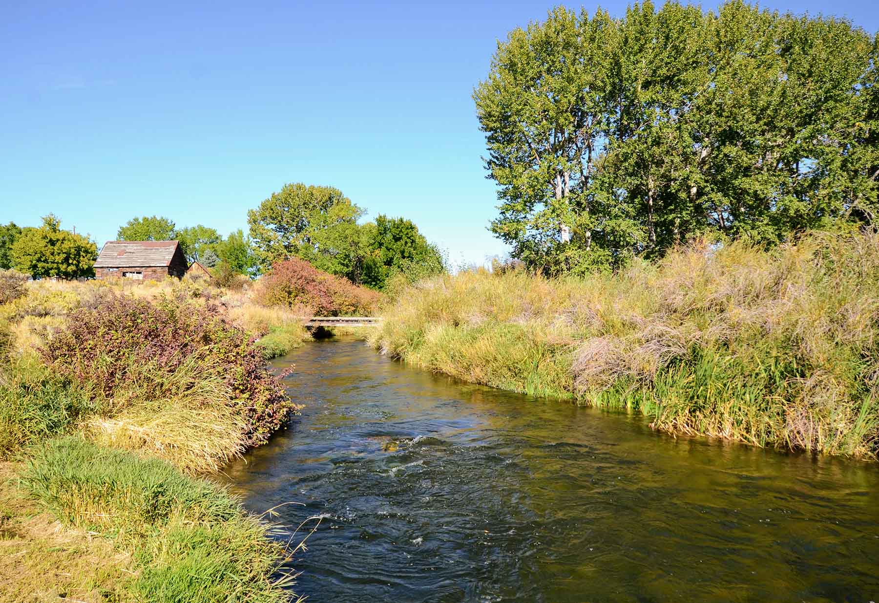 Renegade Ranch property picture 82 of 102