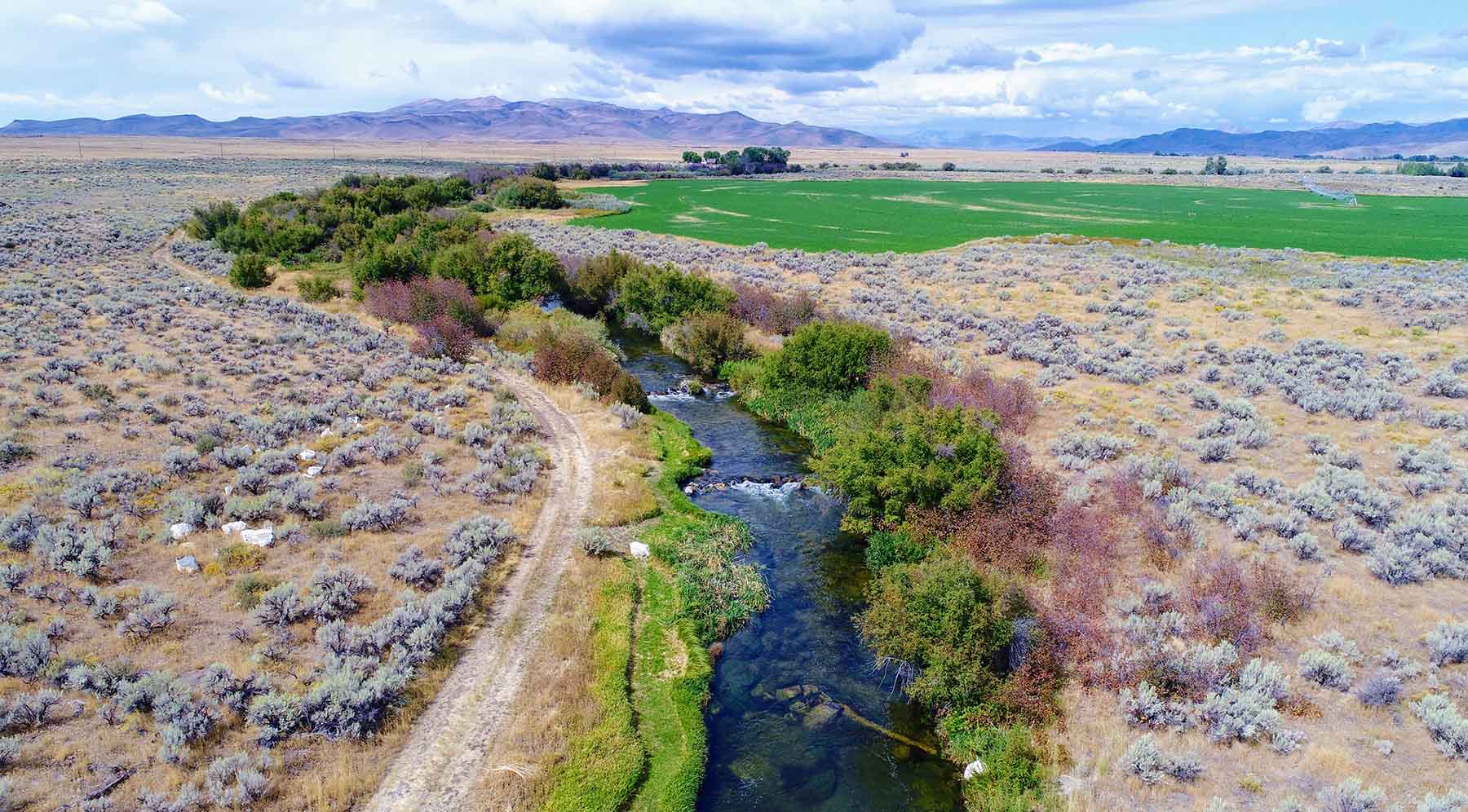 Renegade Ranch property picture 50 of 102