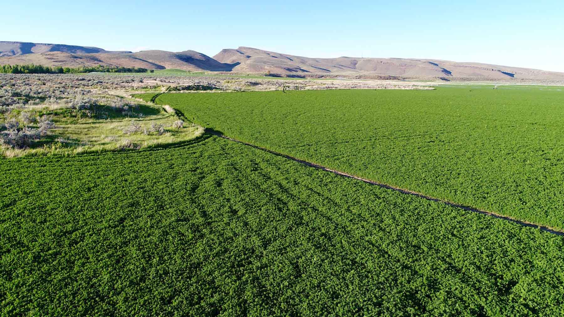 Renegade Ranch property picture 65 of 102