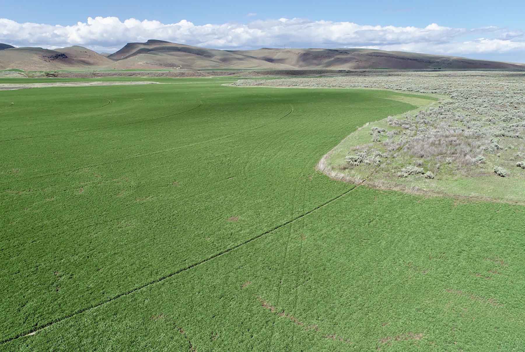 Renegade Ranch property picture 64 of 102