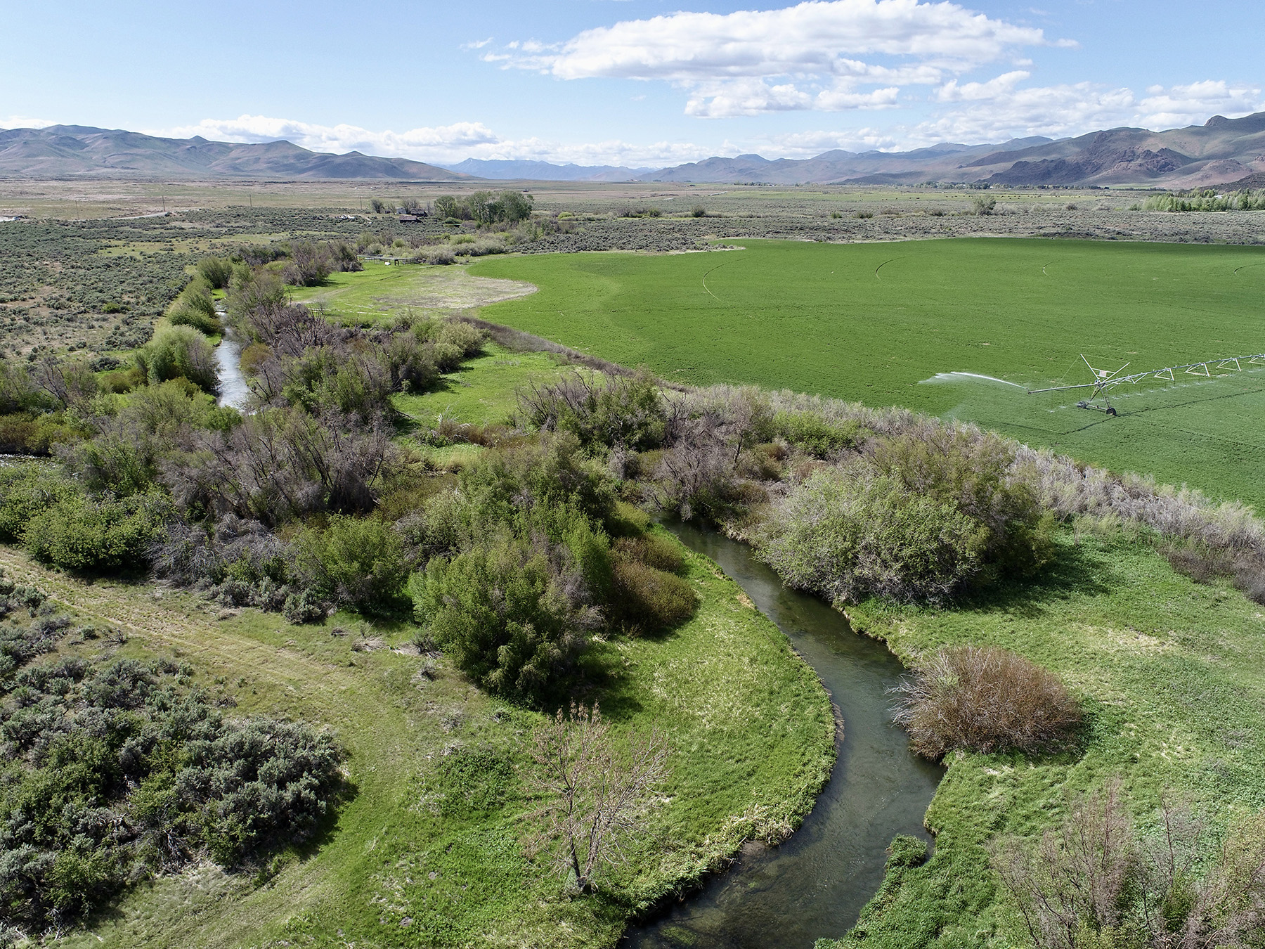 Renegade Ranch property picture 3 of 102