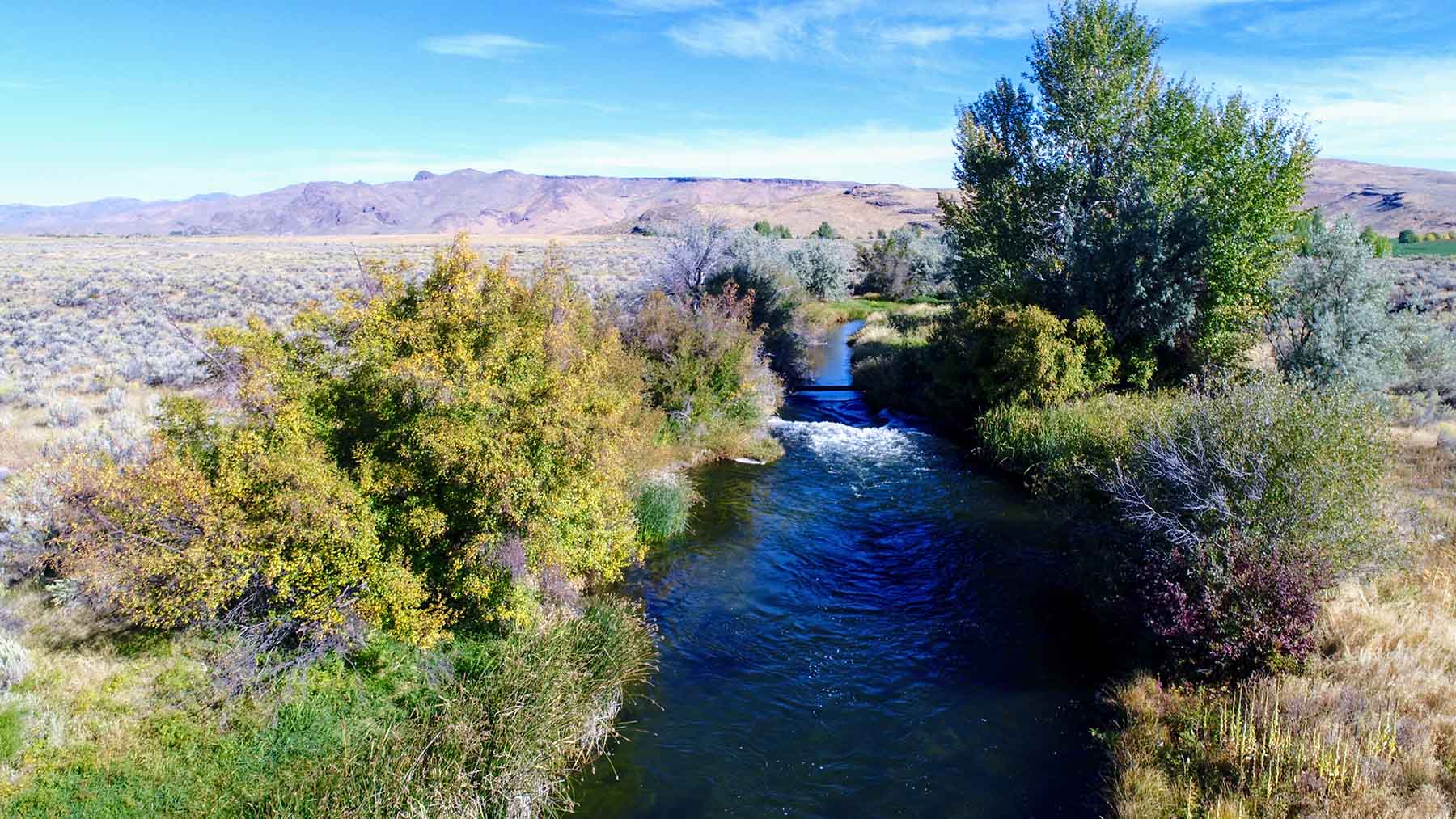 Renegade Ranch property picture 17 of 102