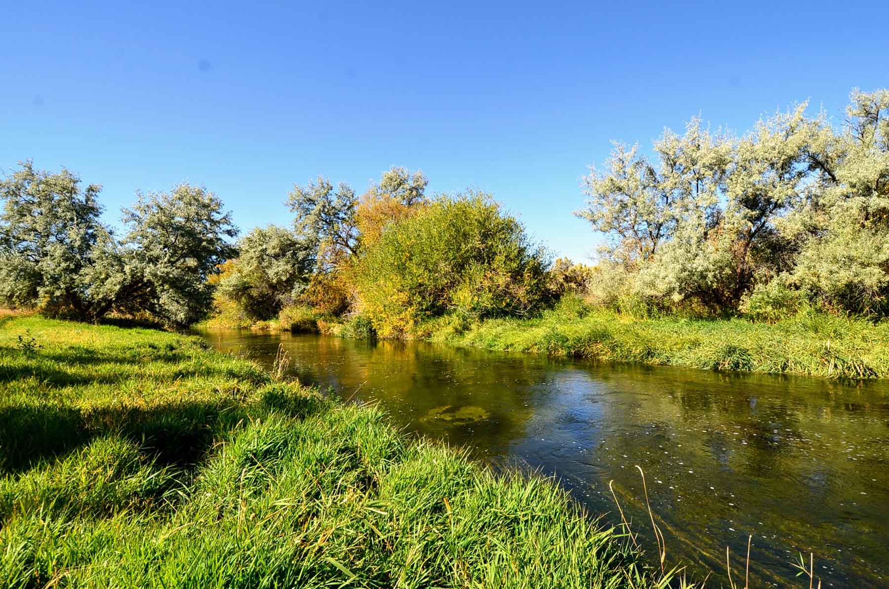 Renegade Ranch property picture 48 of 102