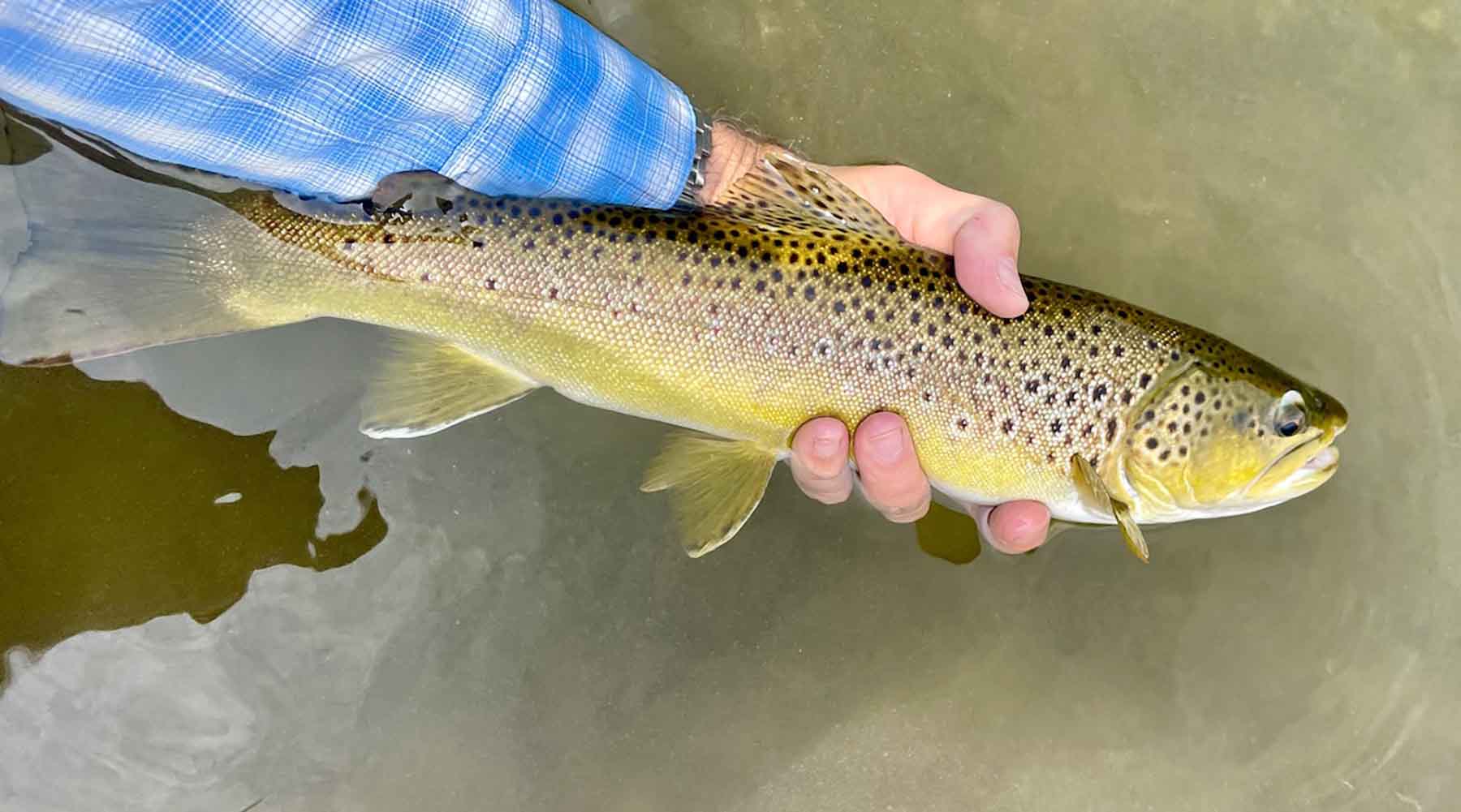 Renegade Ranch property picture 92 of 102