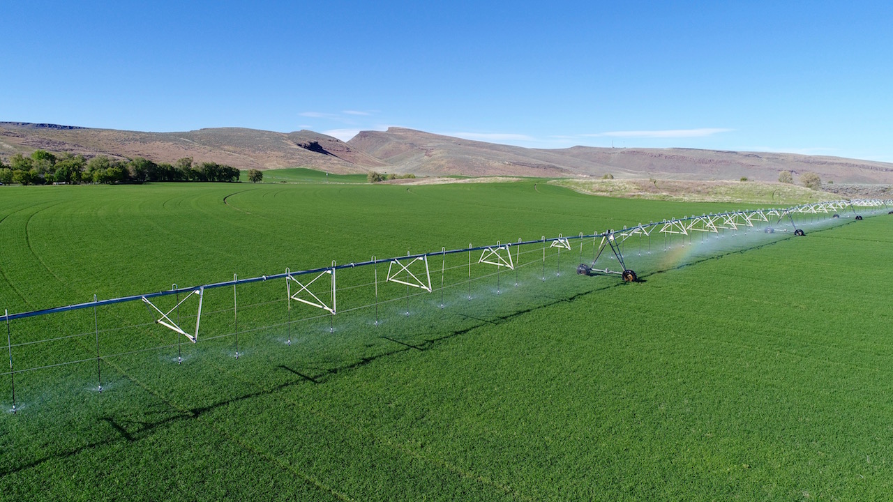 Renegade Ranch - For Sale - Reduced - Idaho - Hall and Hall