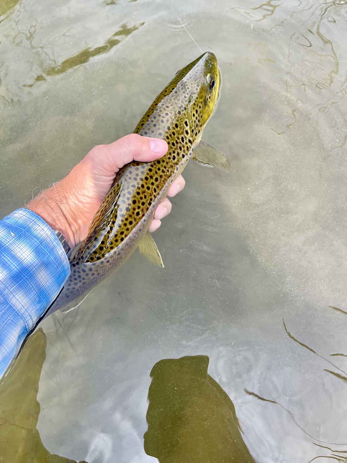 Renegade Ranch property picture 93 of 102