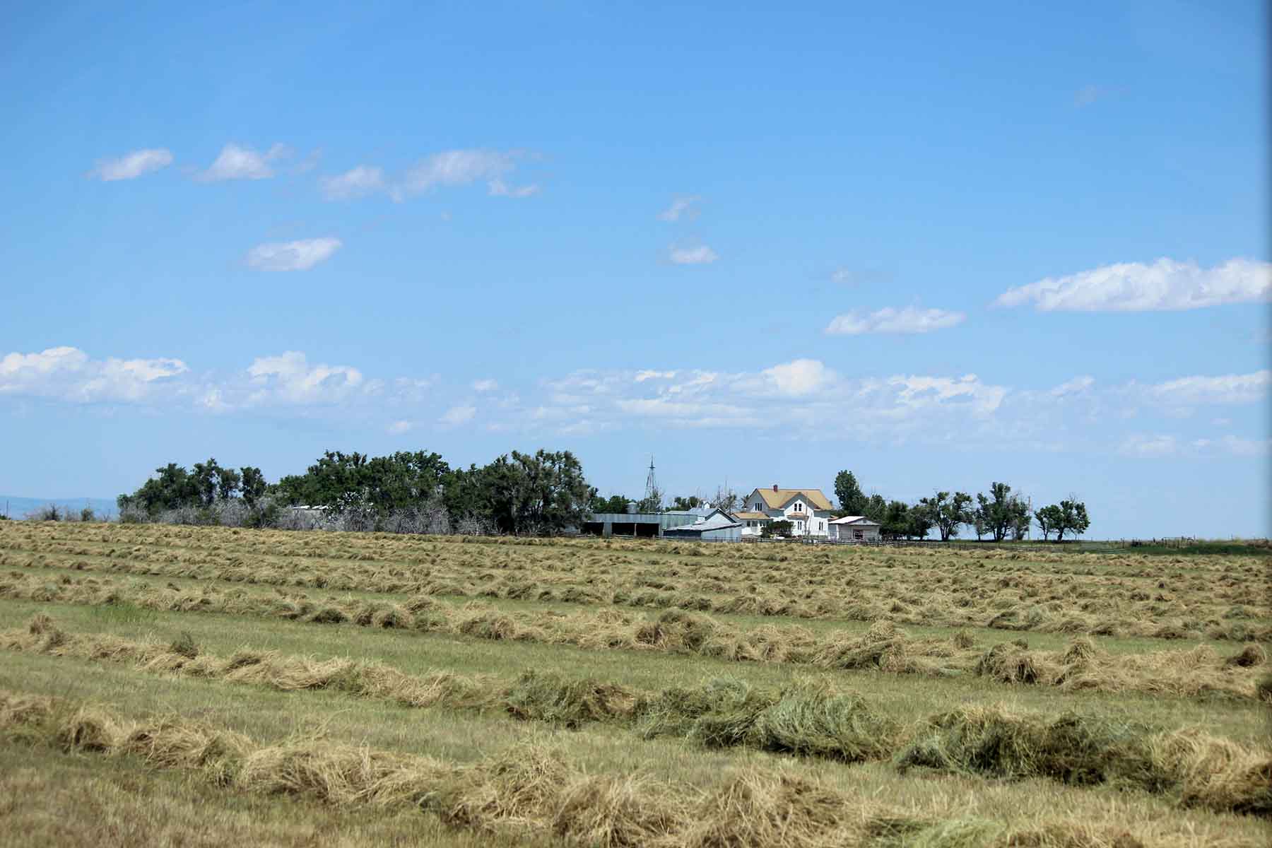 C/N Ranch property picture 53 of 55