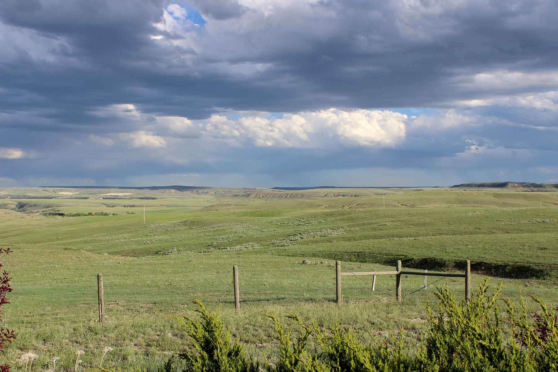 C/N Ranch property picture 32 of 55