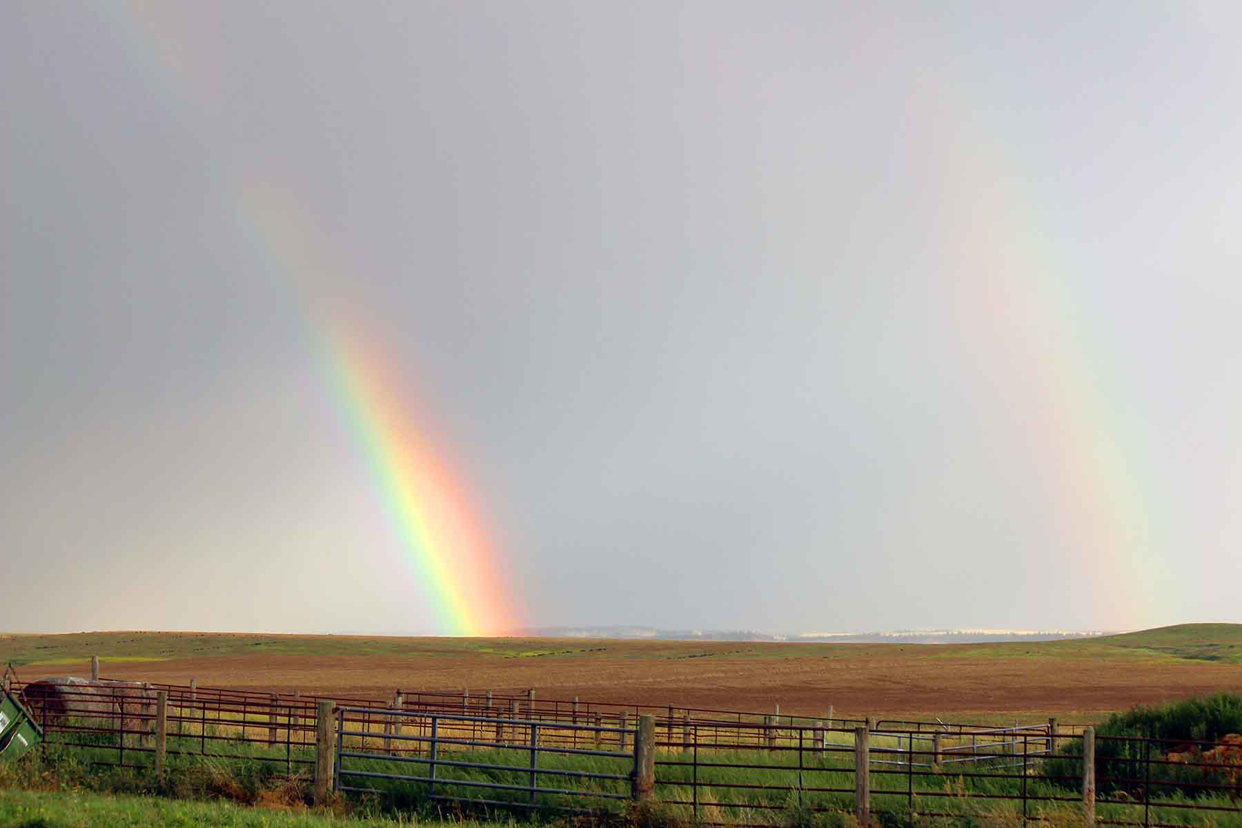 C/N Ranch property picture 44 of 55