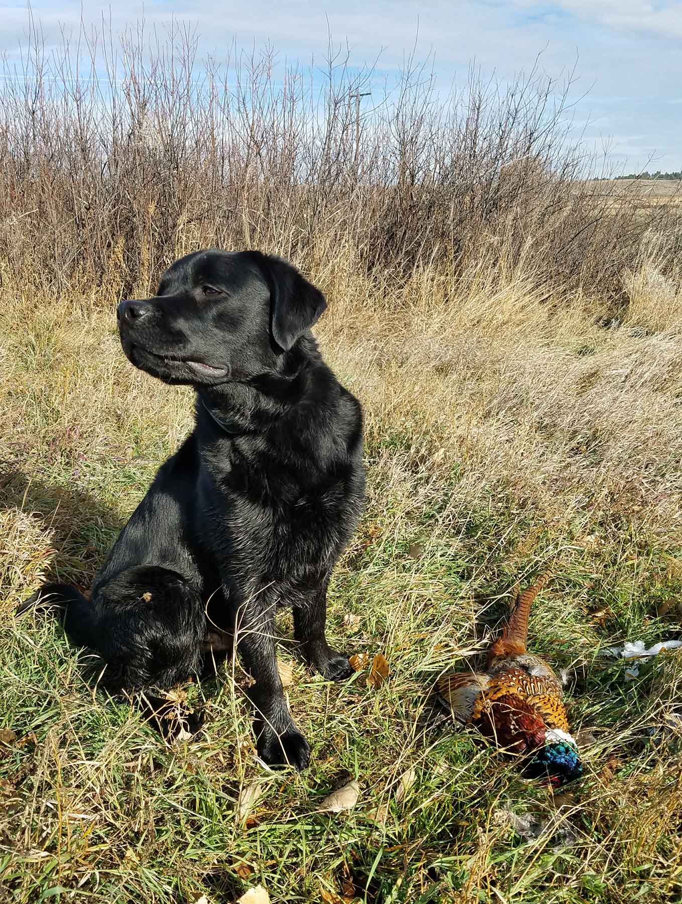 C/N Ranch property picture 20 of 55