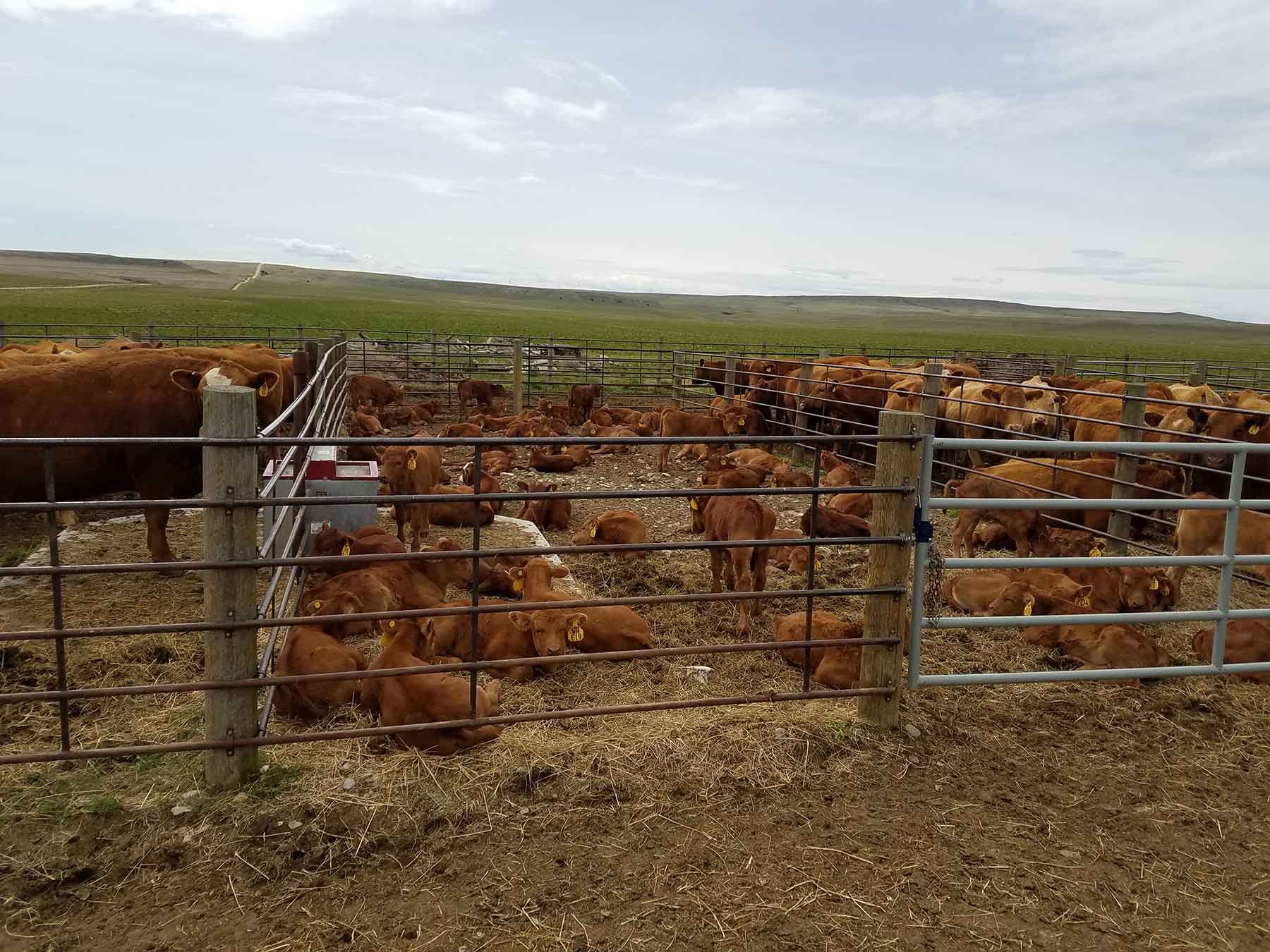 C/N Ranch property picture 17 of 55