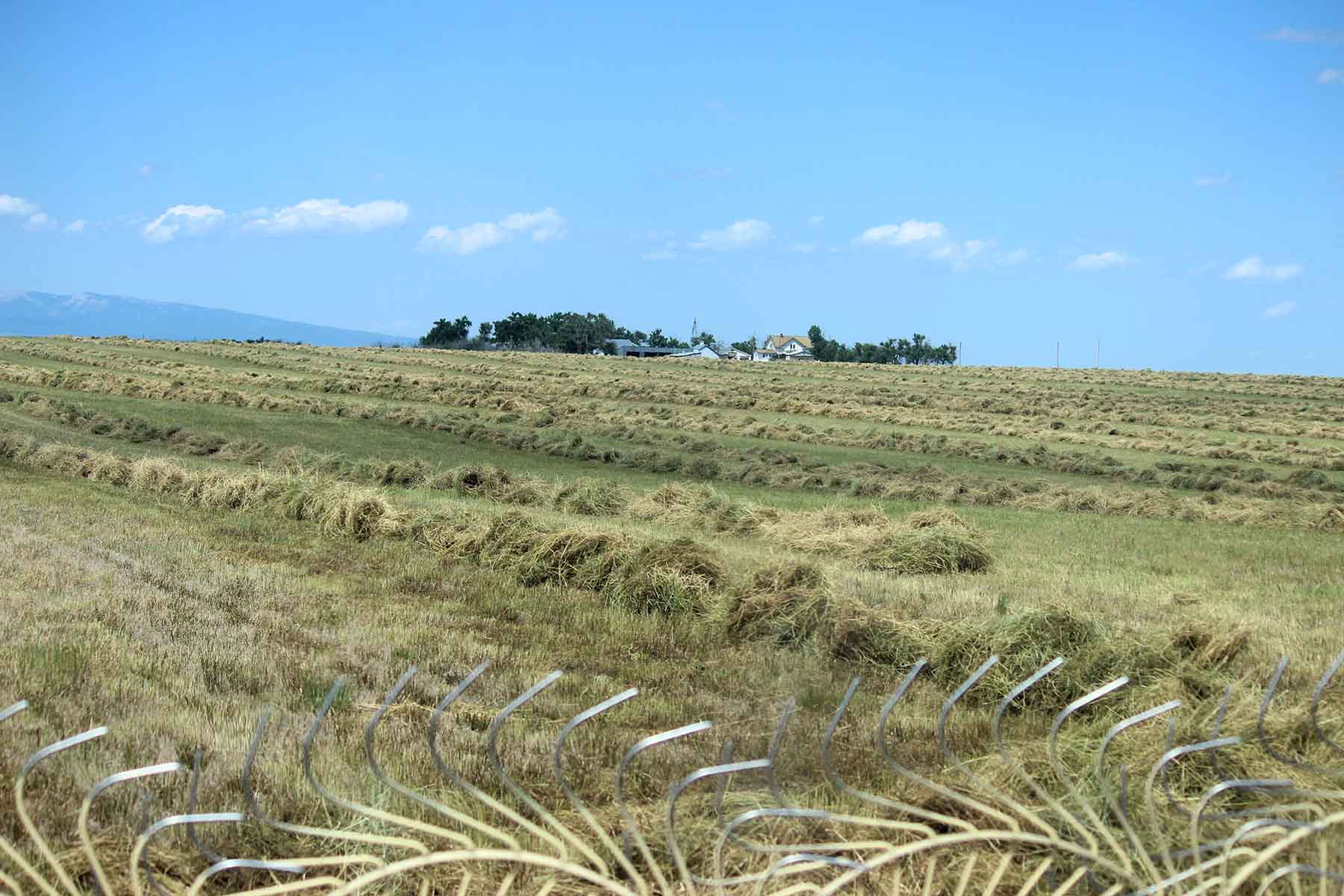 C/N Ranch property picture 39 of 55