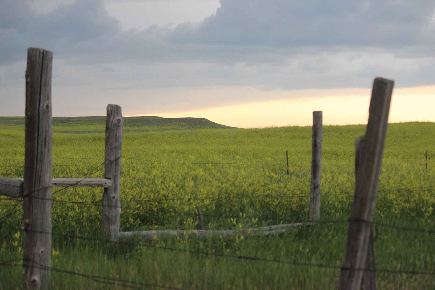 C/N Ranch property picture 6 of 55