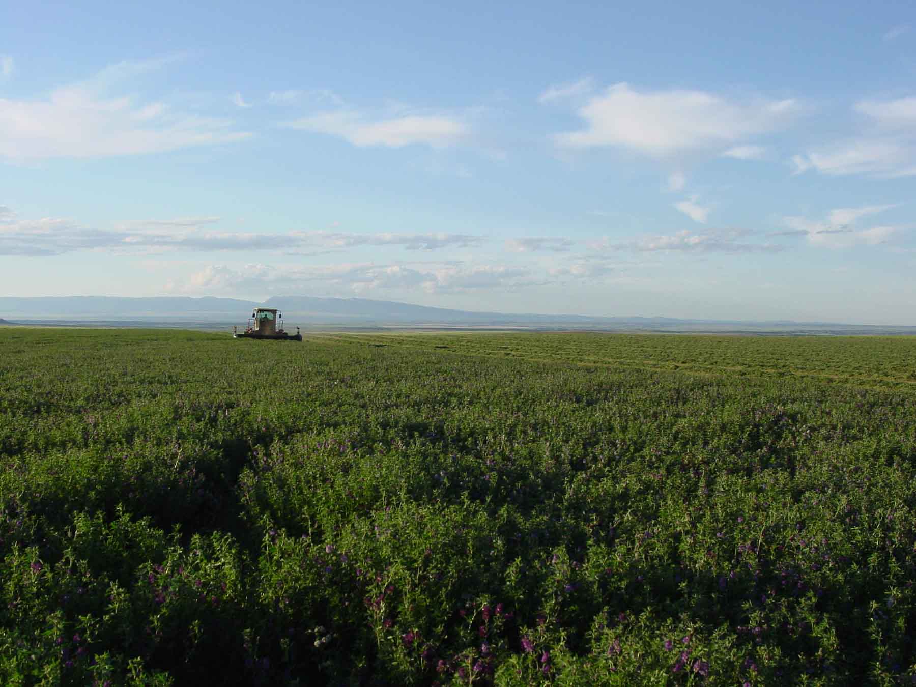 C/N Ranch property picture 2 of 55