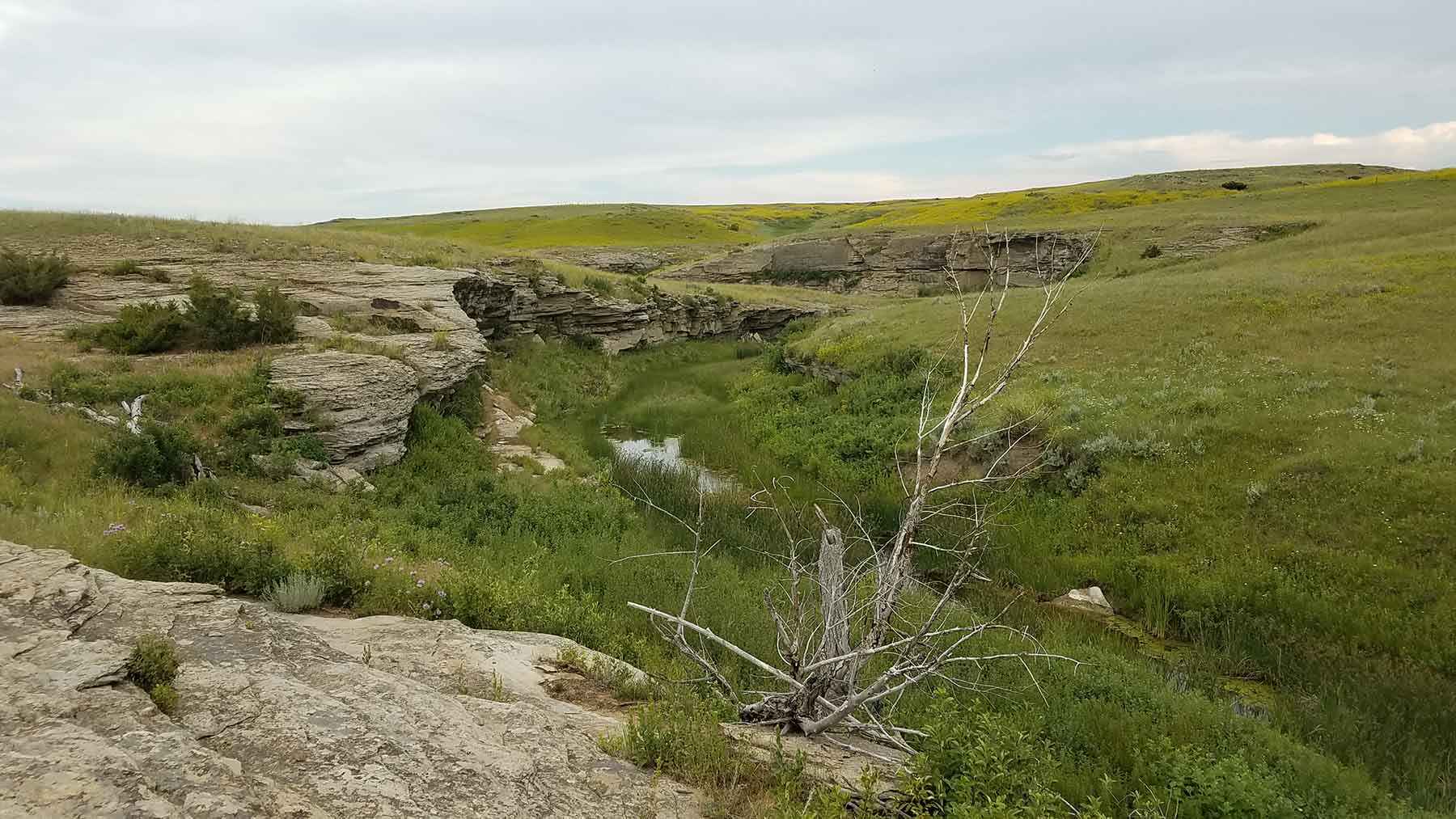 C/N Ranch property picture 37 of 55